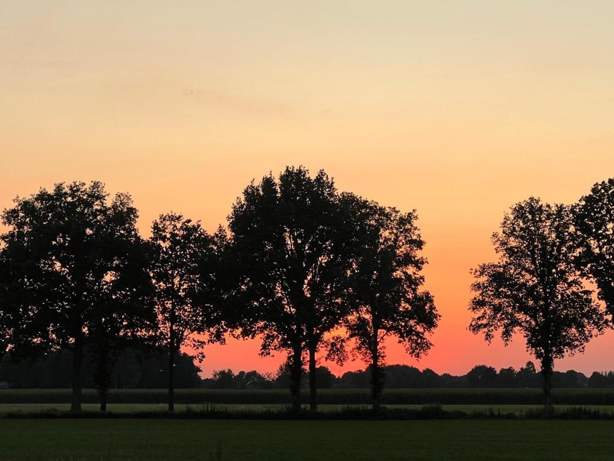 Vakantiepark Horsetellerie 7 in Hardenberg (rheezerveen) - Foto 25 van 41