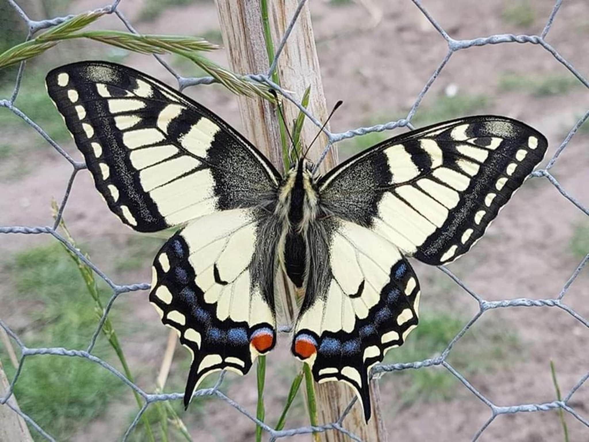 Sfeerbeeld van Het Schafthuis in Valkenswaard