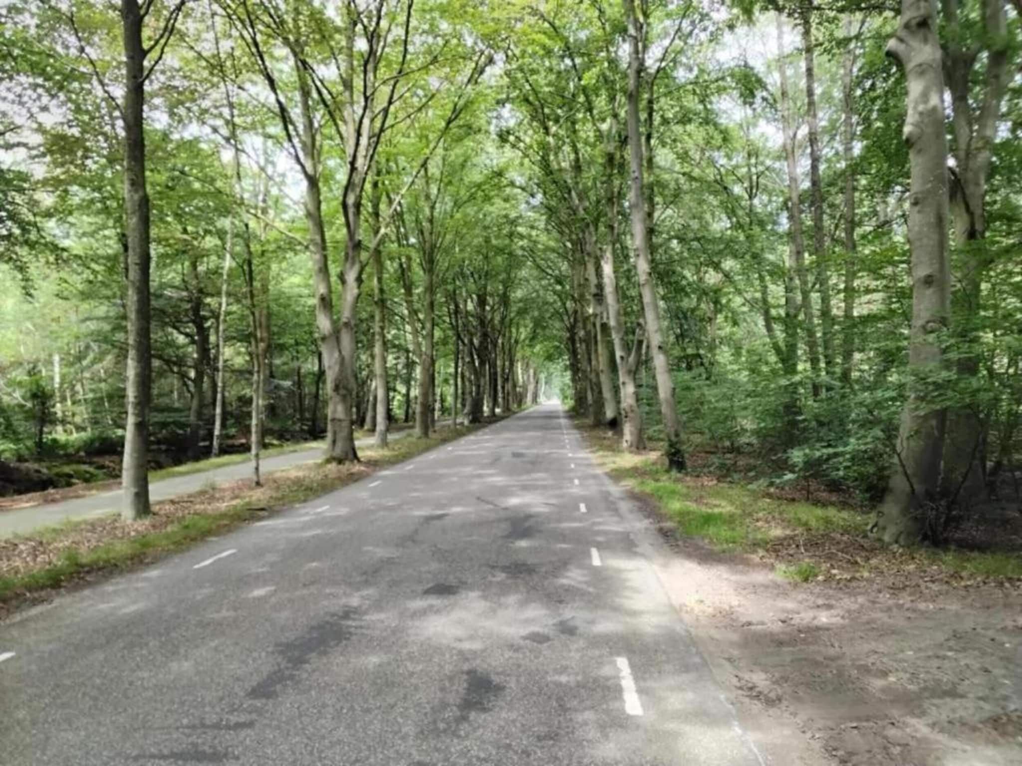 De omgeving van Lyts Sypenstien in Langweer