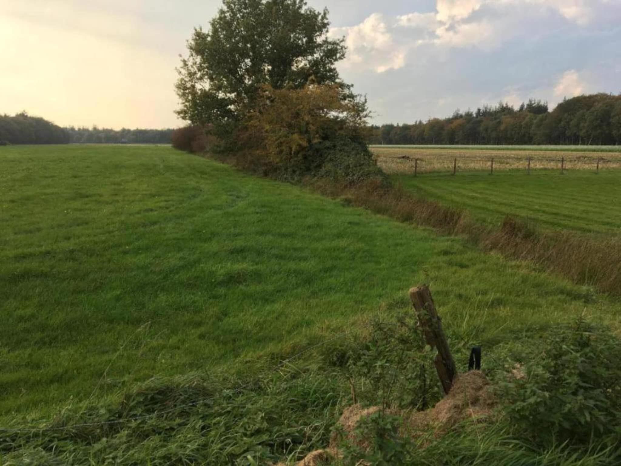 De omgeving van Lyts Sypenstien in Langweer