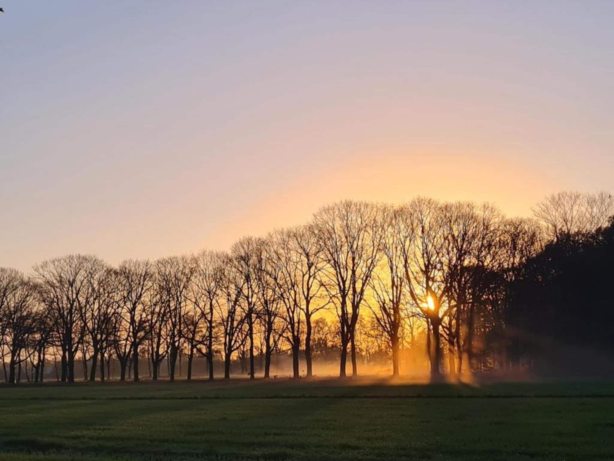 Paradiso in Elsendorp - Foto 39 van 40