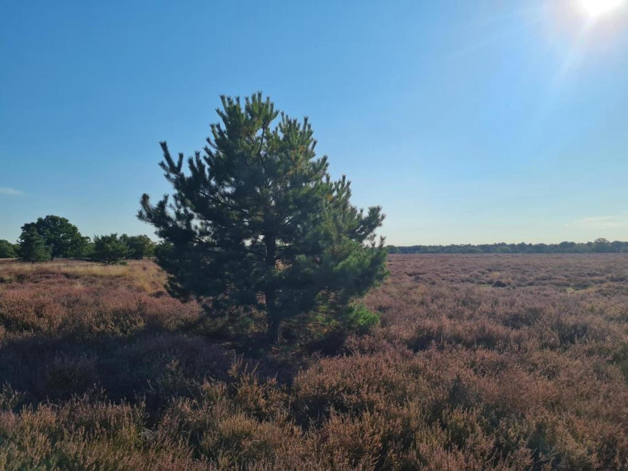 Paradiso in Elsendorp - Foto 32 van 40