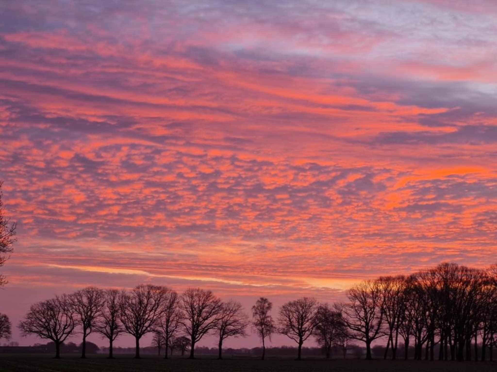 Paradiso in Elsendorp - Foto 33 van 40