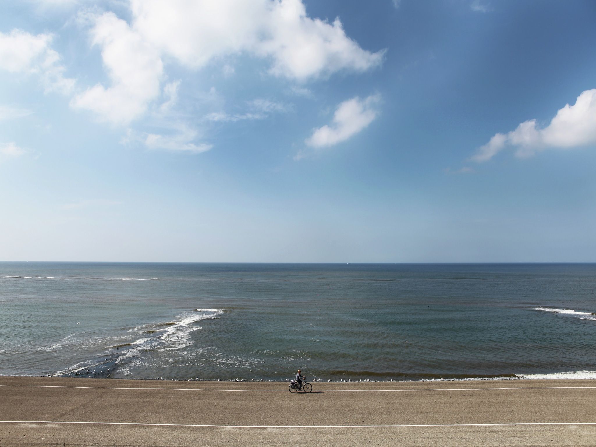 De omgeving van Scoreldame 8-persoons in Schoorldam