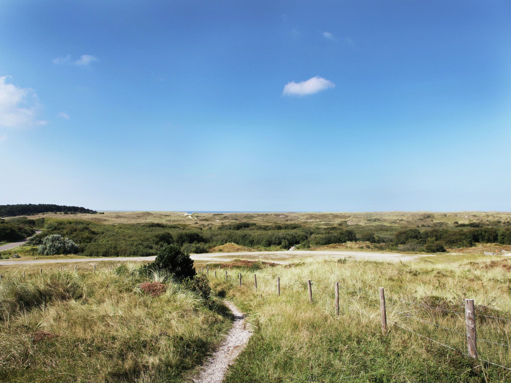 De omgeving van Scoreldame 8-persoons in Schoorldam