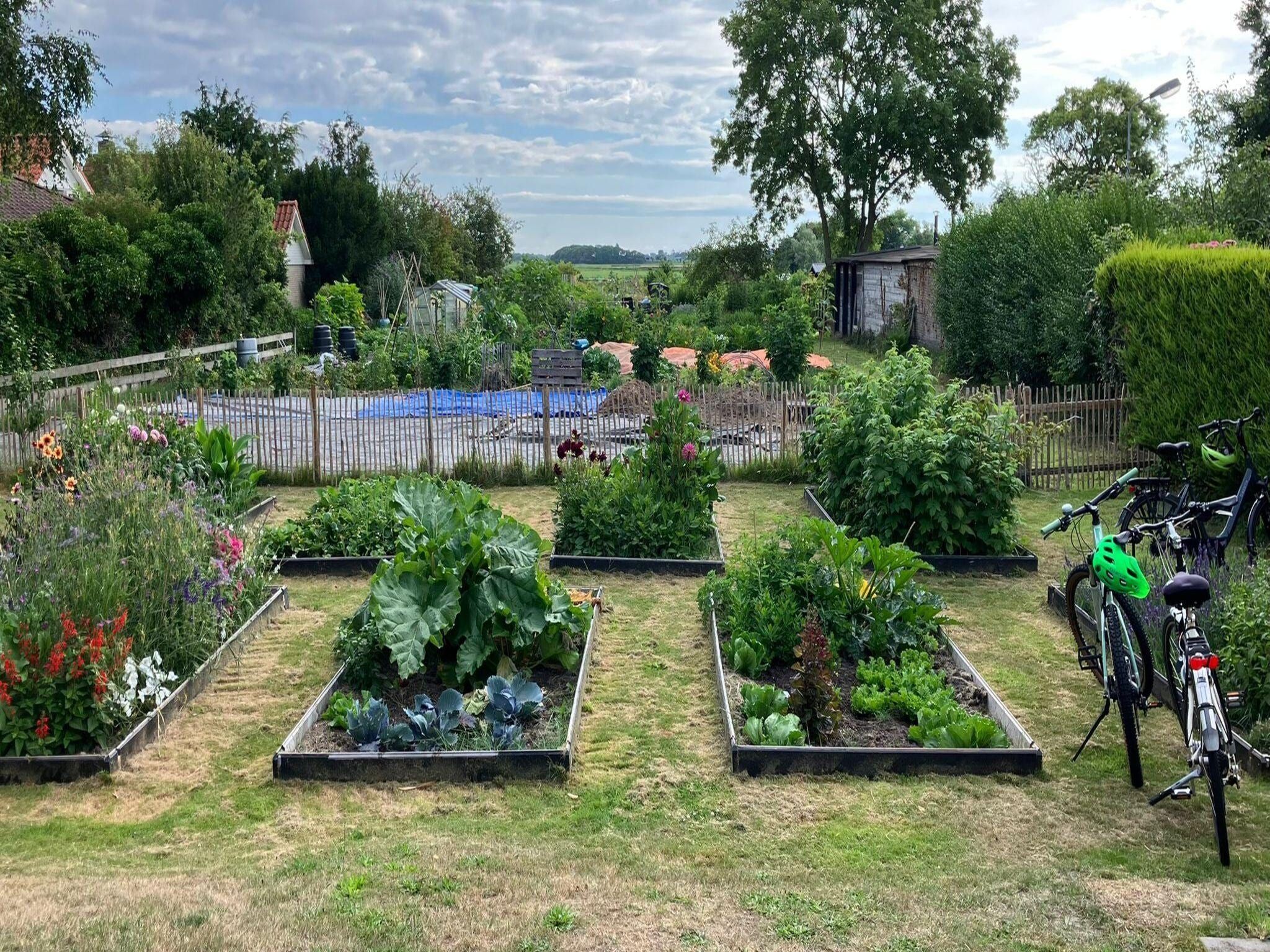 De tuin van Fancy in Groet