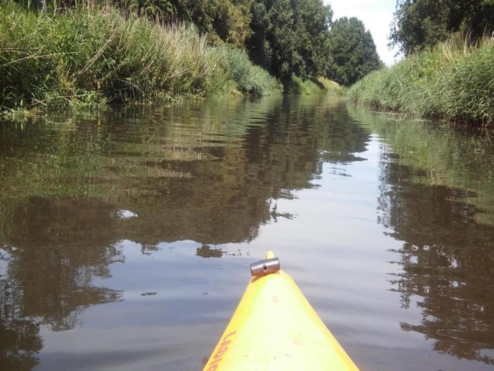 Landgoed De IJsvogel 2 in Voorthuizen - Foto 37 van 40