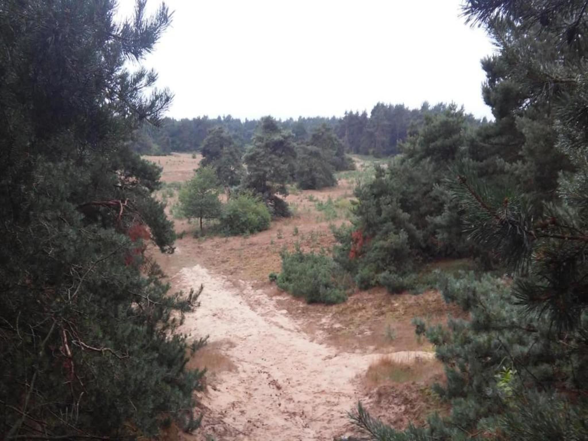 Landgoed De IJsvogel 2 in Voorthuizen - Foto 35 van 40