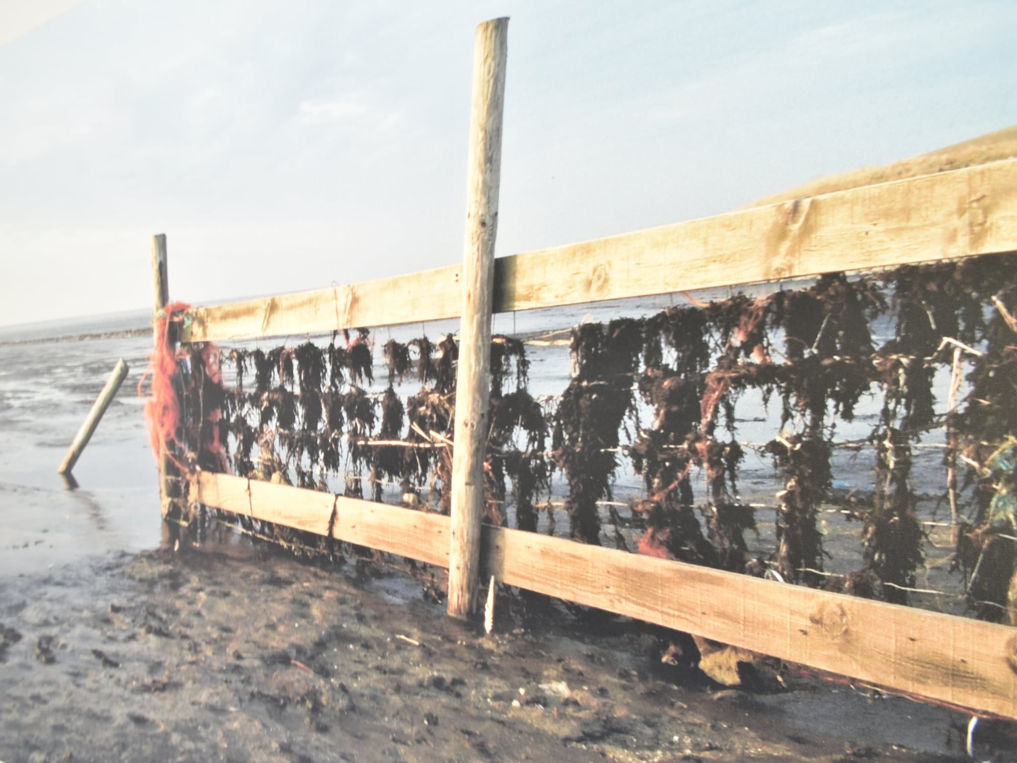 Sfeerbeeld van Zeedijk III in Tzummarum