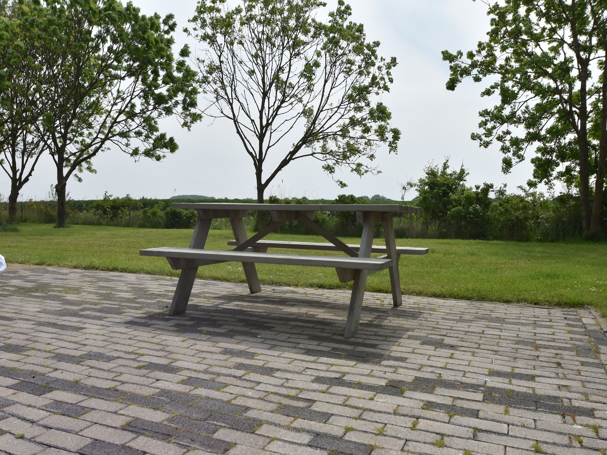 Het terras van Zeedijk III in Tzummarum