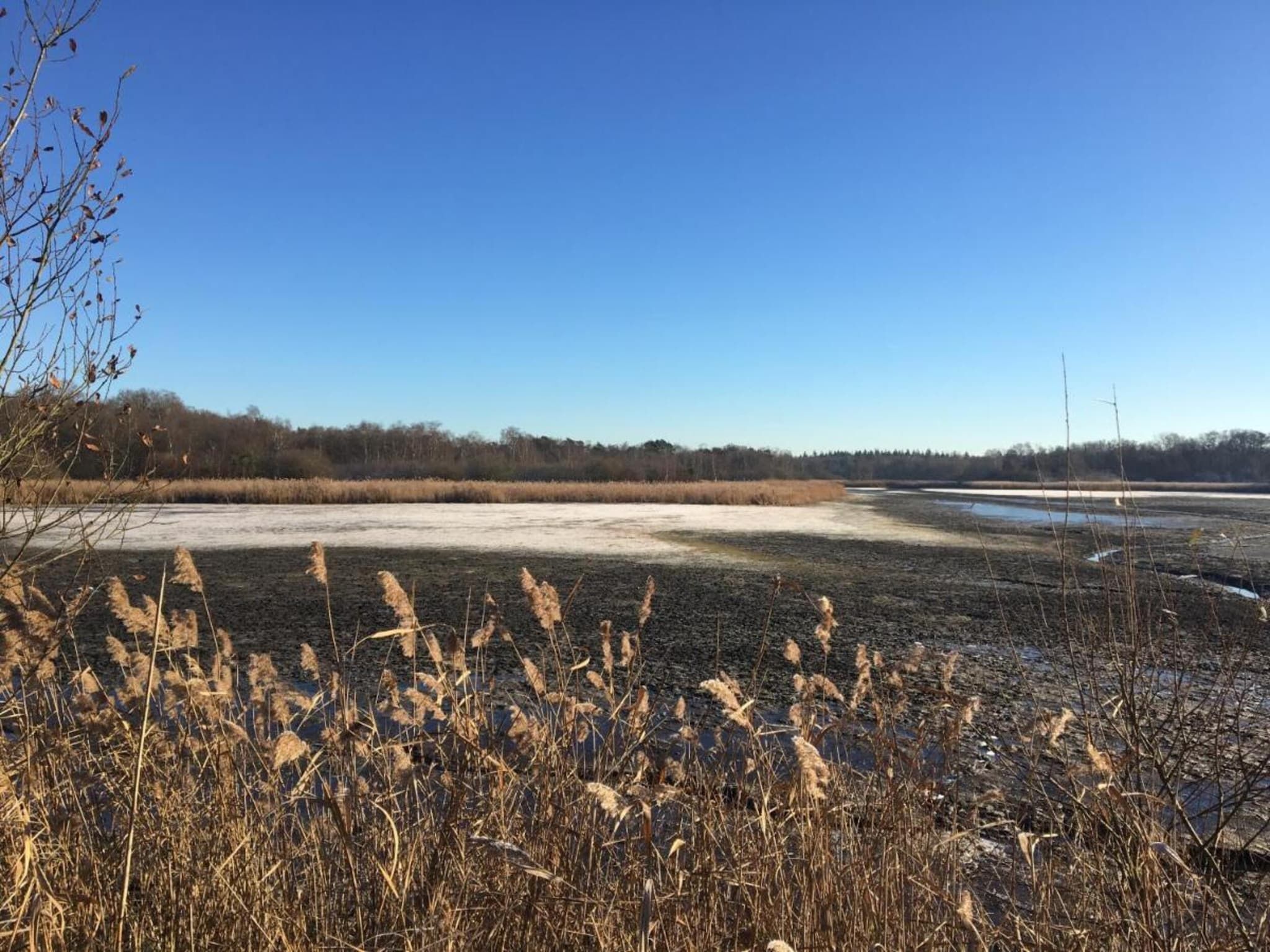 Dorpswoning De Plek in Leende - Foto 26 van 40