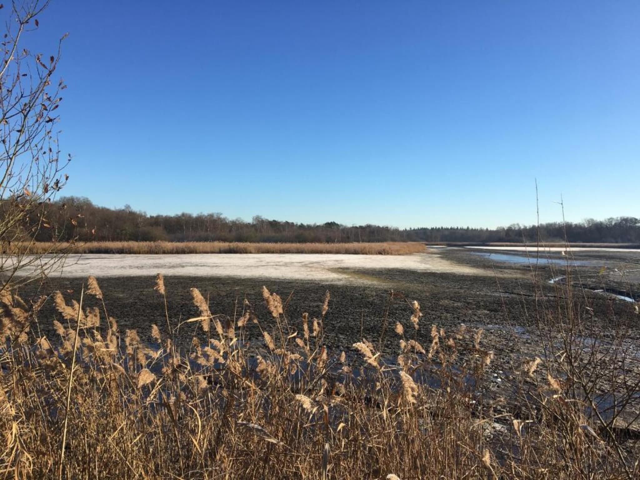 Dorpswoning Het Uitzicht in Leende - Foto 30 van 40