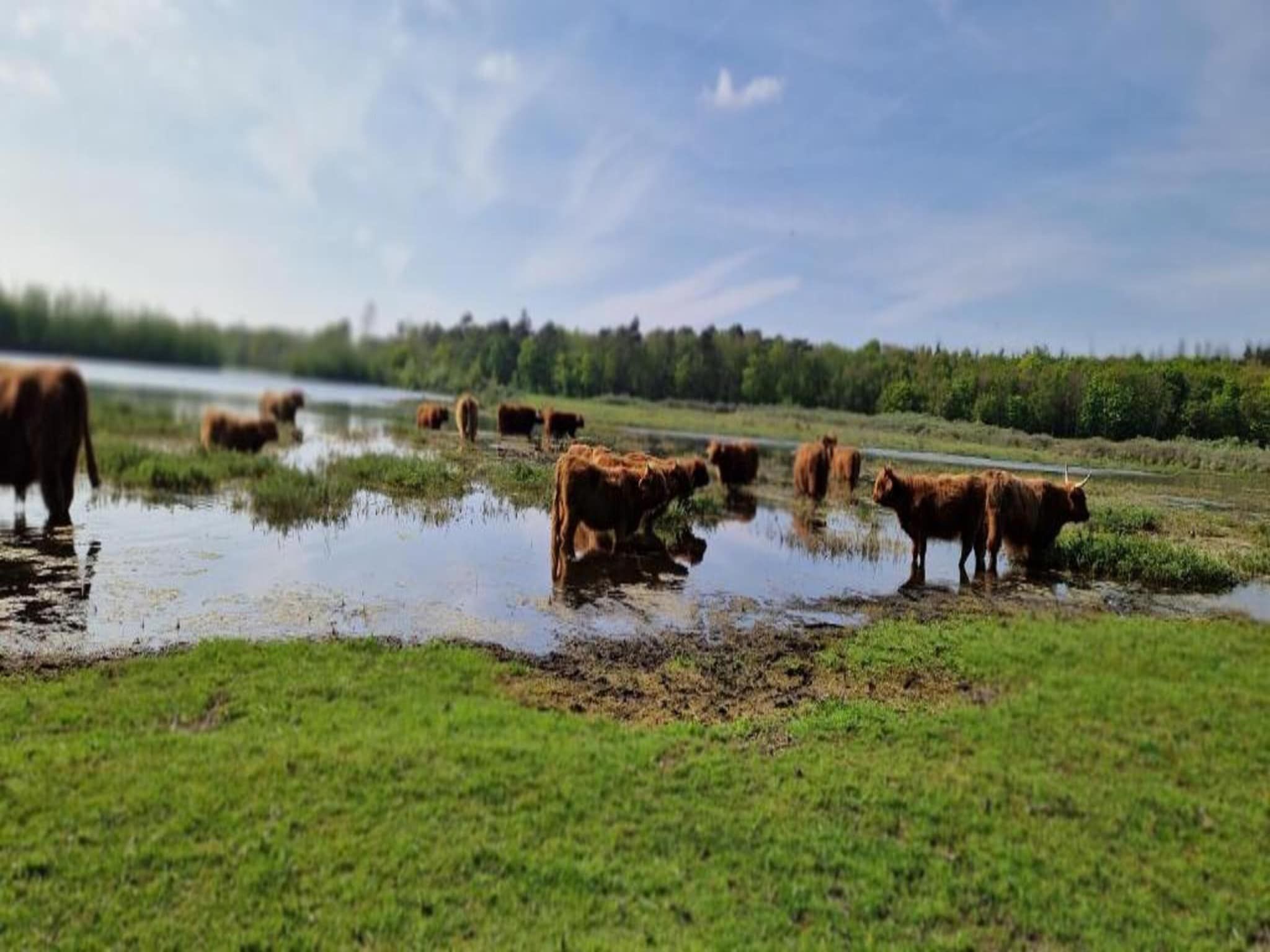 Huize Glory Amethist aan Zee in Bergen aan zee - Foto 35 van 40