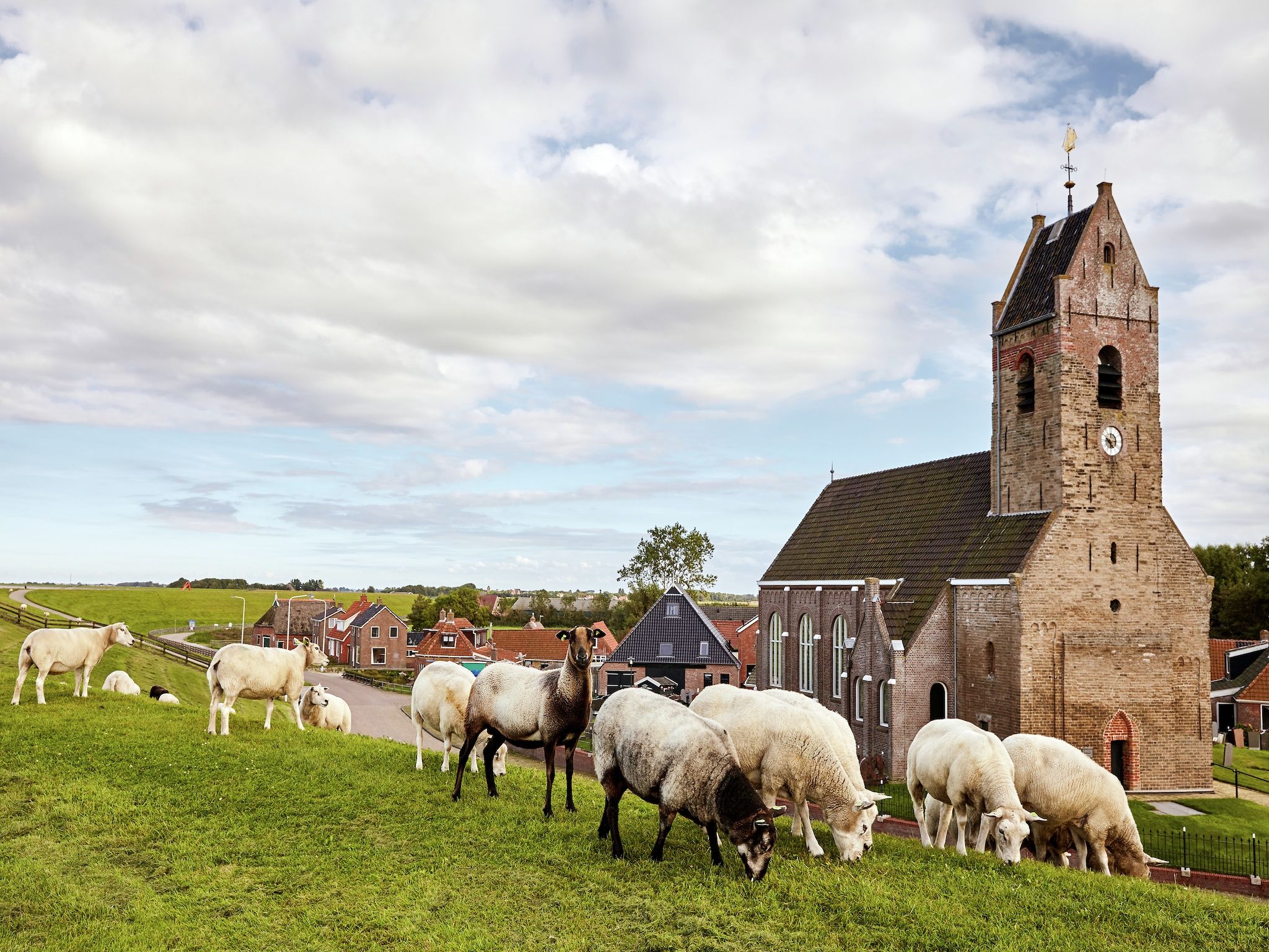 De omgeving van Landhuis Wad Anders in Wierum