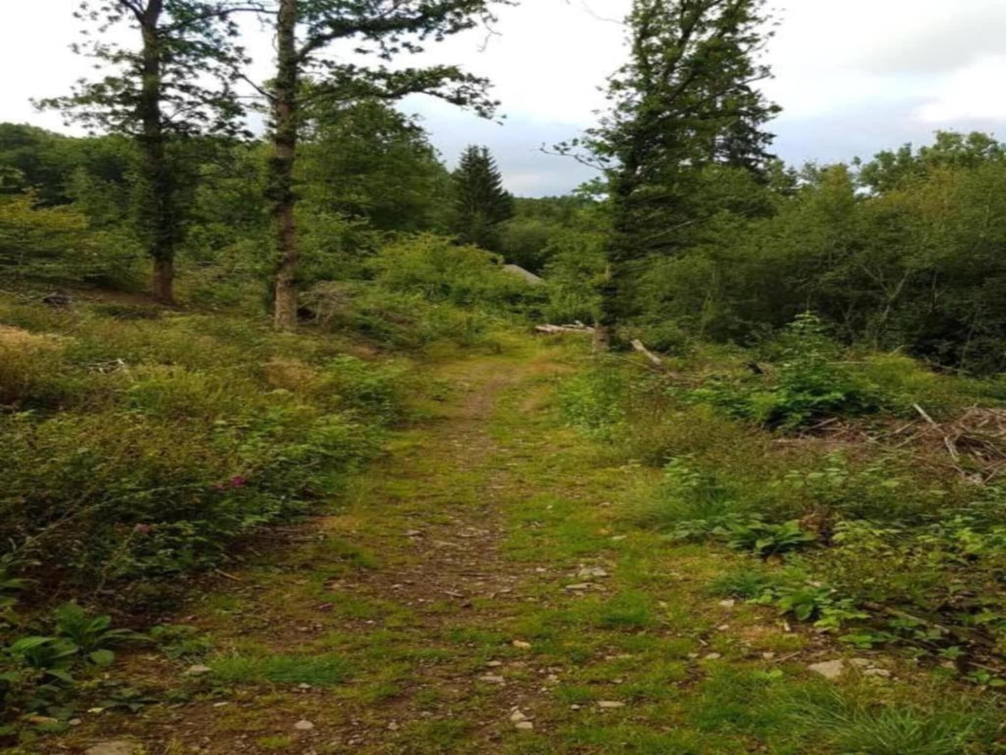 De omgeving van Résidence de Weerribben 2 in Paasloo