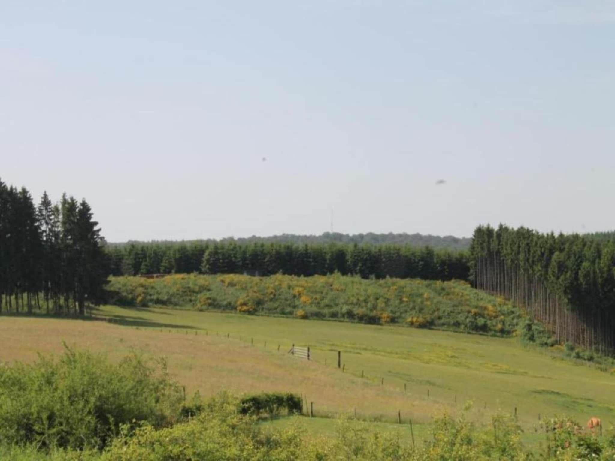 De omgeving van Résidence de Weerribben 3 in Paasloo