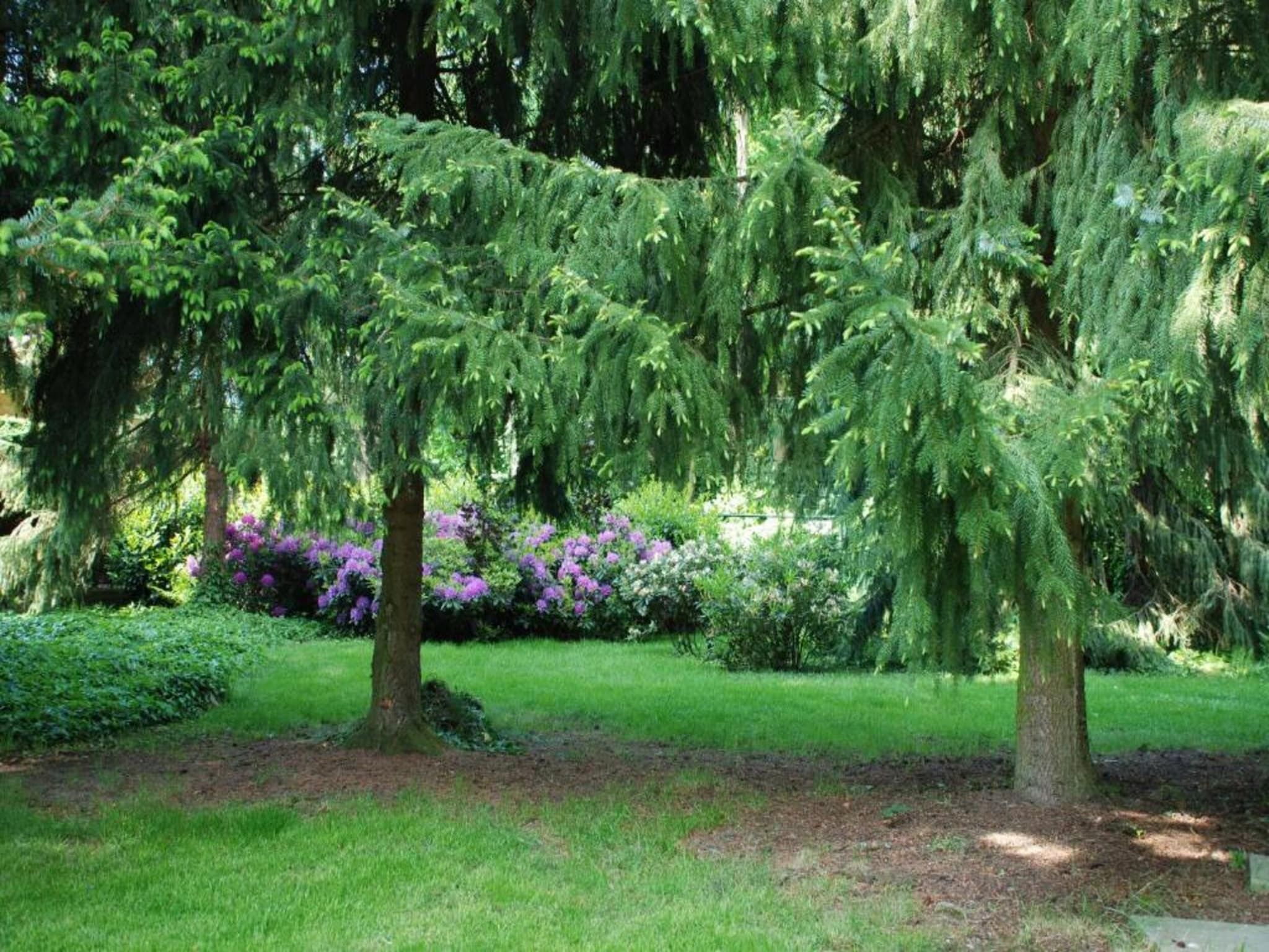 Résidence Klein Vink 4 in Arcen - Foto 10 van 40