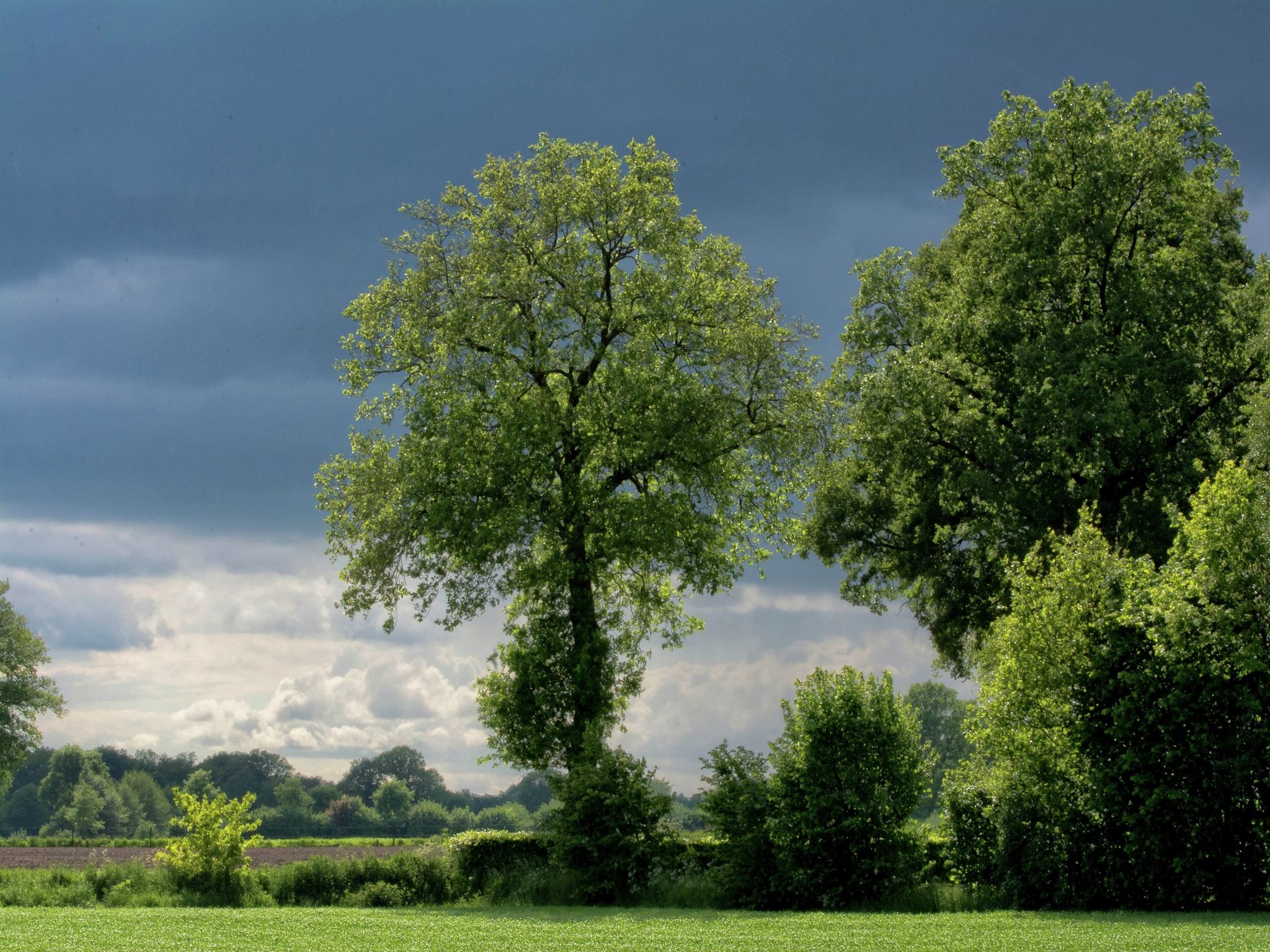 Kabinet & Dekenkist in Geesteren - Foto 22 van 36