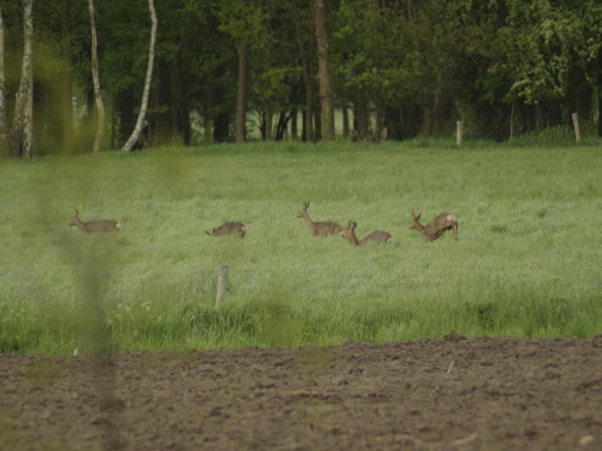 Kabinet & Dekenkist in Geesteren - Foto 28 van 36