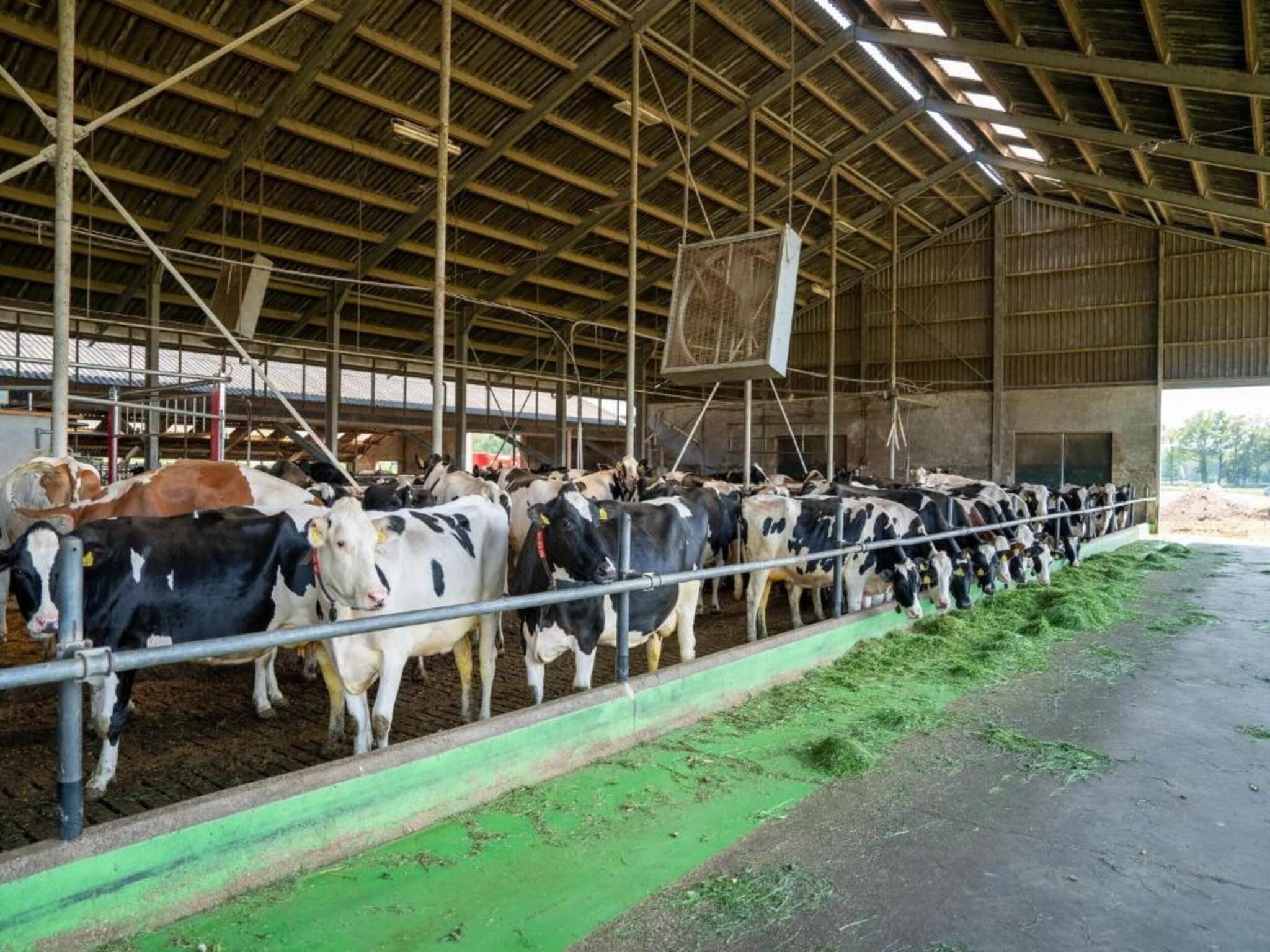 Kabinet & Dekenkist in Geesteren - Foto 31 van 36