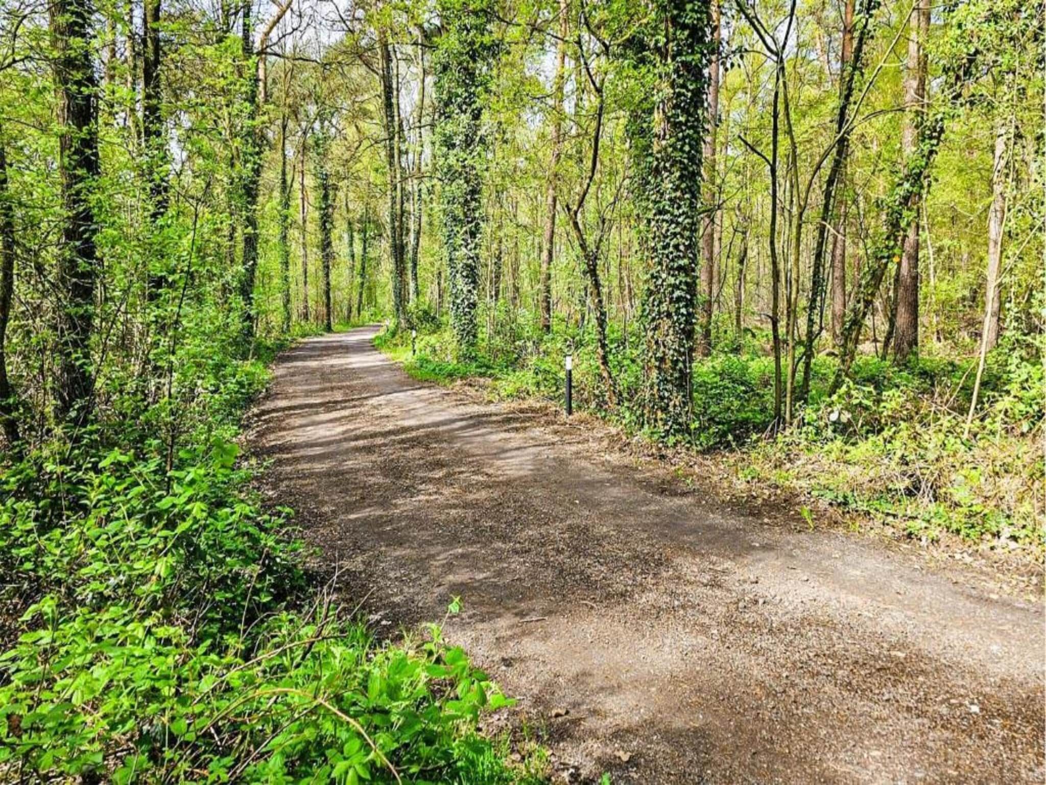 Kabinet & Dekenkist in Geesteren - Foto 33 van 36