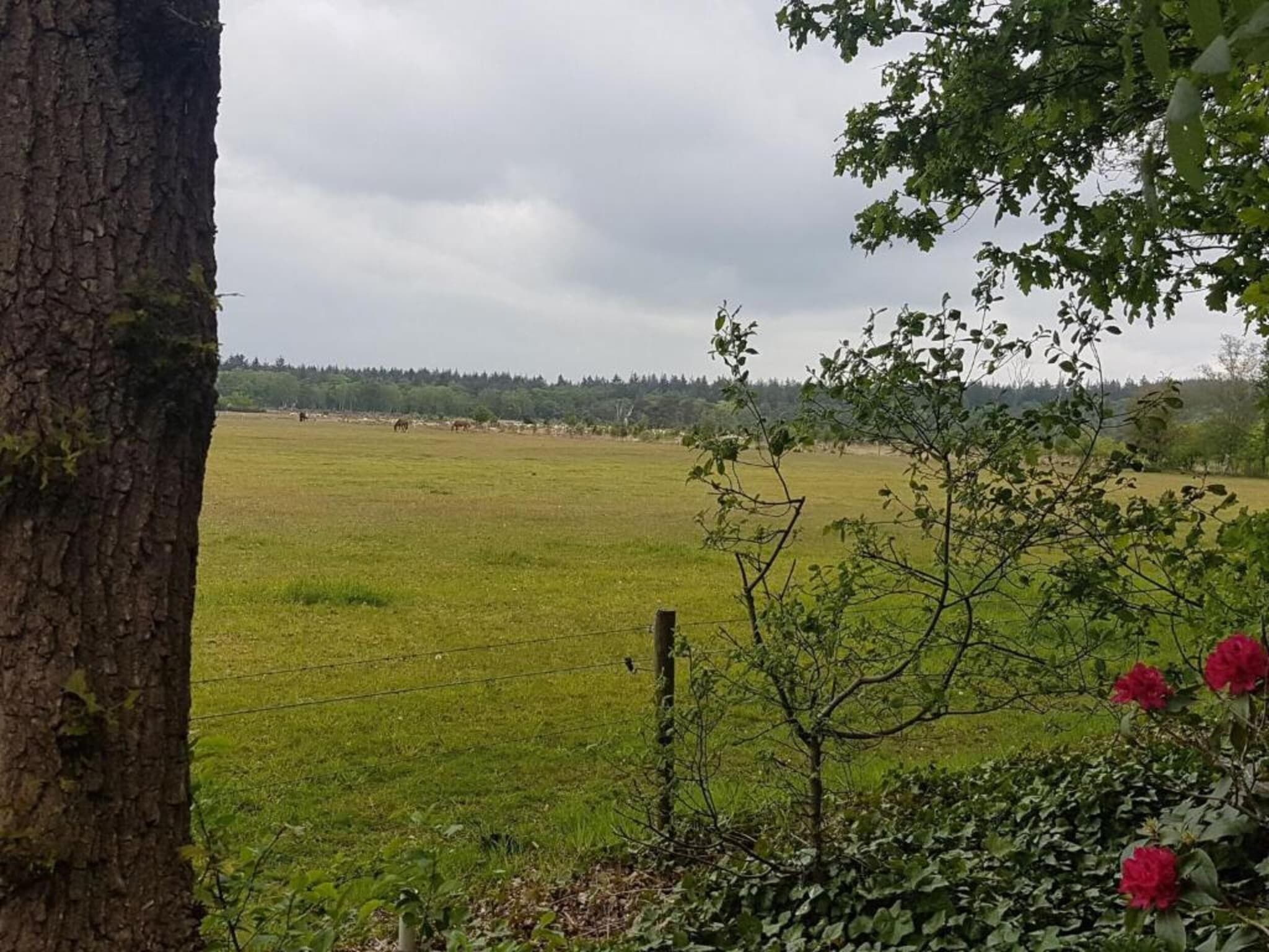 De omgeving van Hof van Salland 3 in Hellendoorn