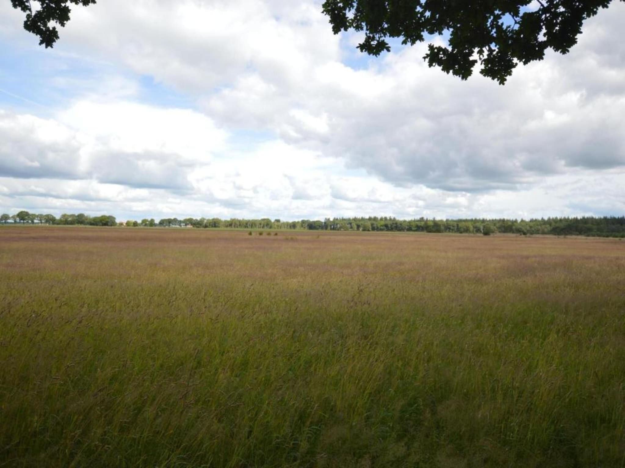 De omgeving van Hof van Salland 3 in Hellendoorn