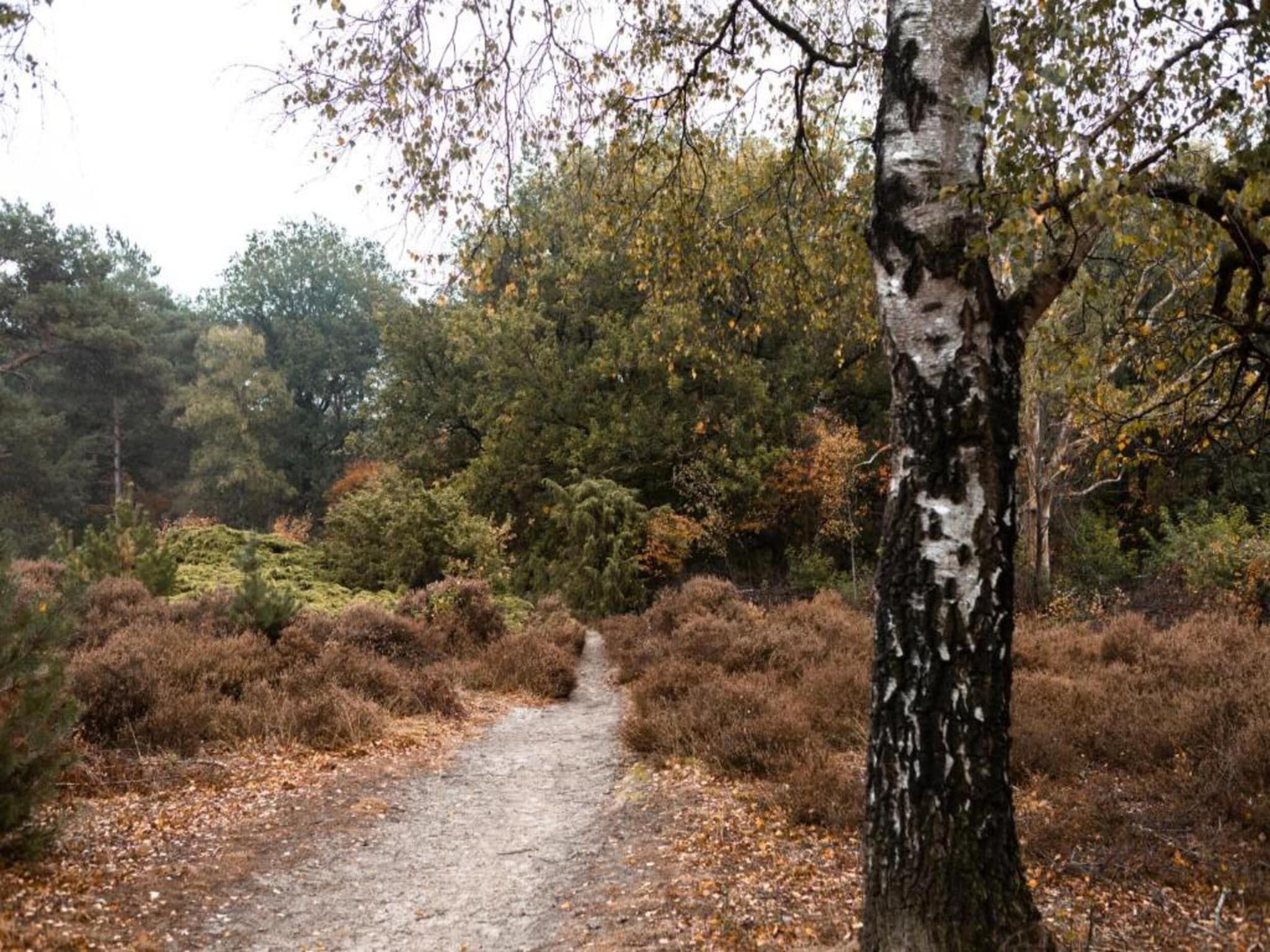 De omgeving van Hof van Salland 3 in Hellendoorn