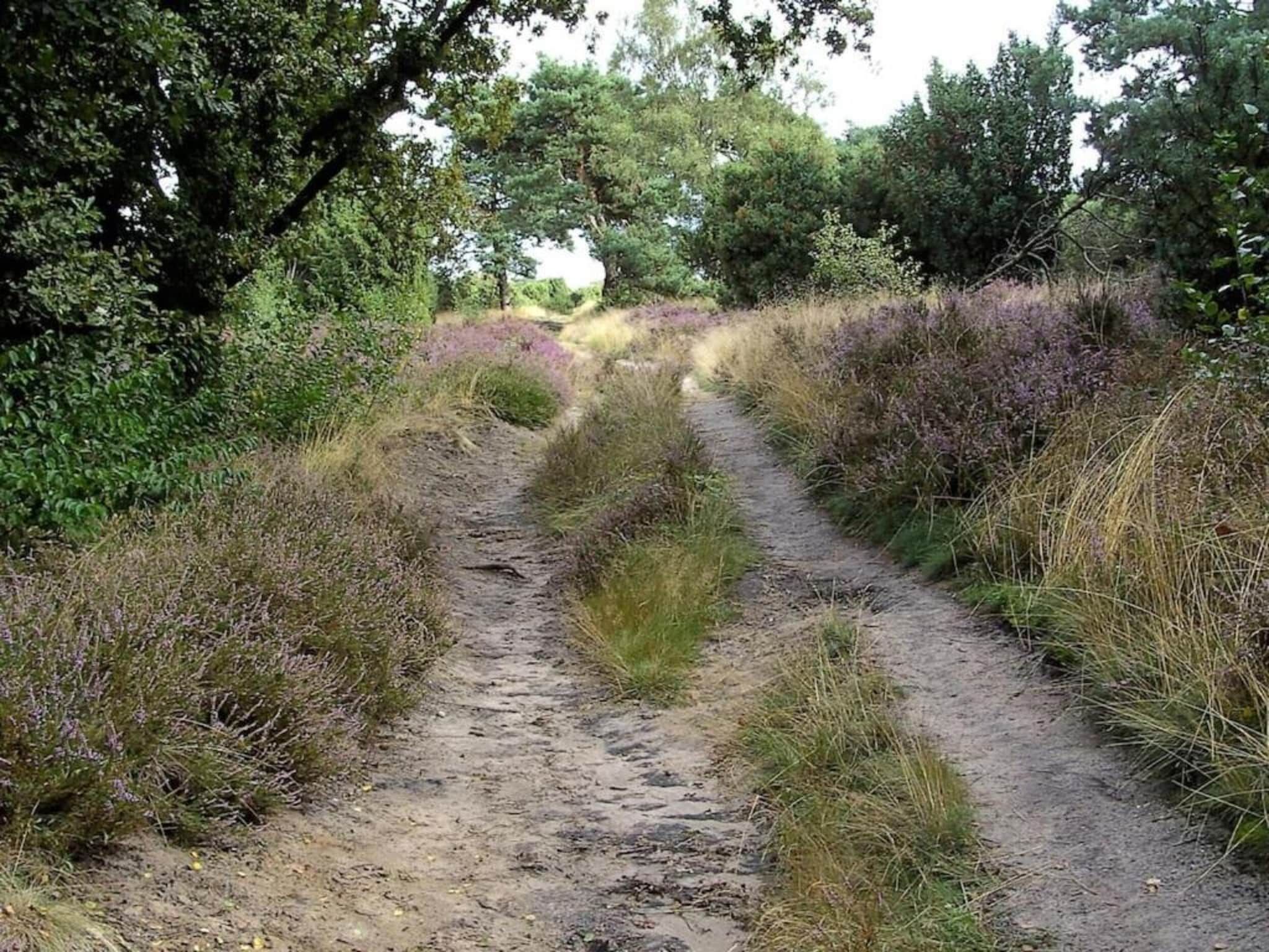 De omgeving van Hof van Salland 7 in Hellendoorn