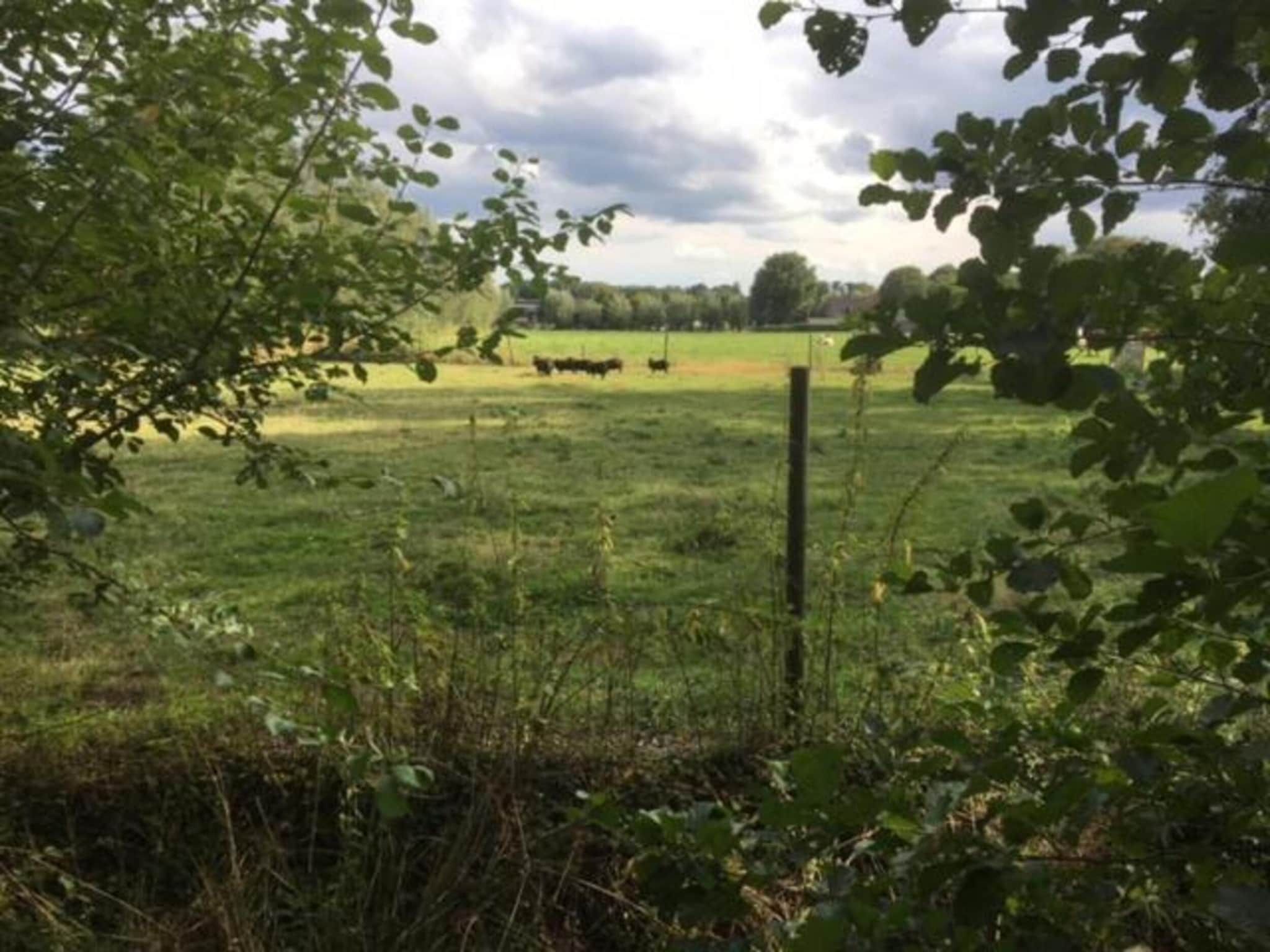 Vakantiepark Sandberghe 2 in Uden - Foto 29 van 40