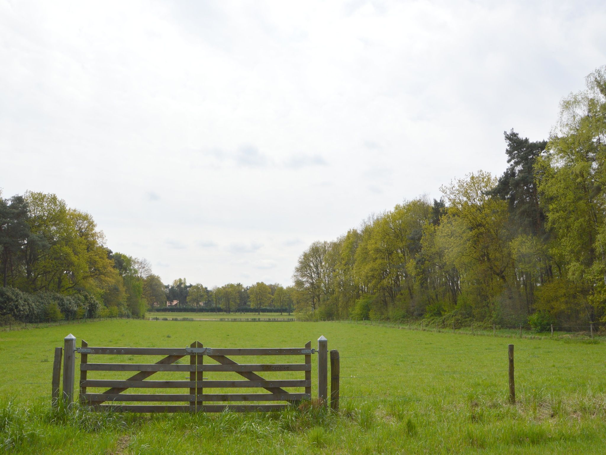 De omgeving van Bungalows 48 en 49 in Stramproy