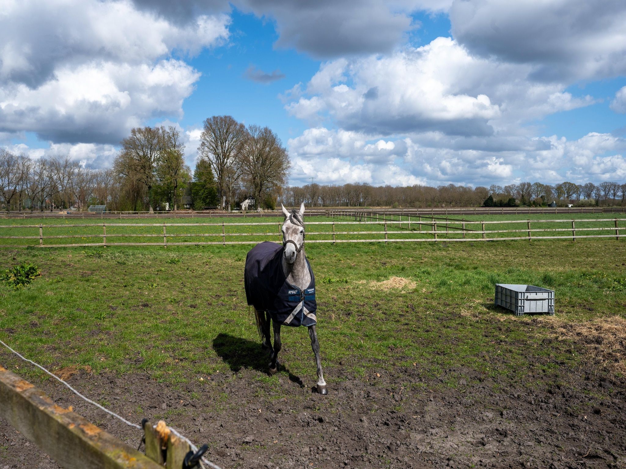 De Kibbelhoeve in Kibbelveen - Foto 33 van 39