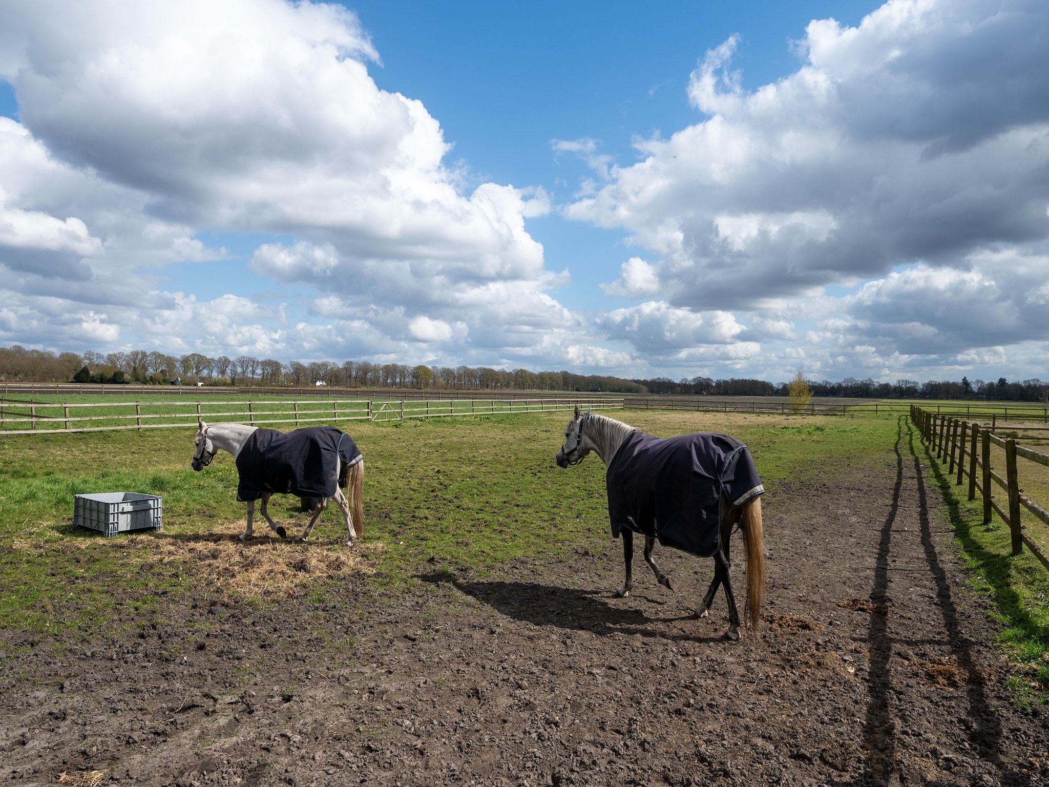 De tuin van De Kibbelhoeve in Kibbelveen