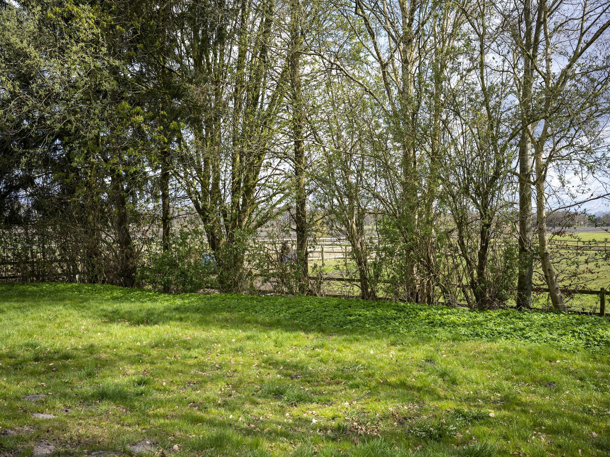 De Kibbelhoeve in Kibbelveen - Foto 36 van 39