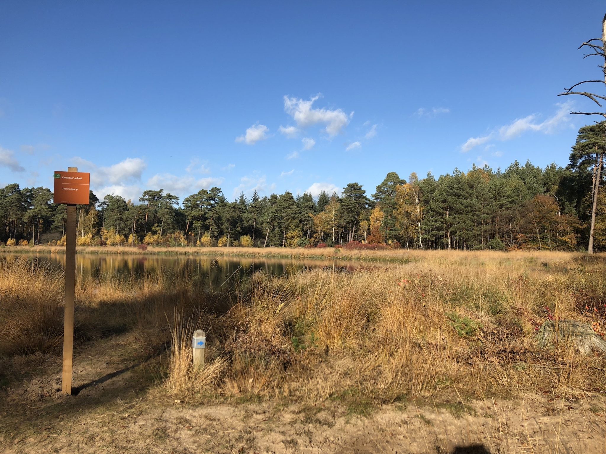 Landgoed de Klimberg in Rheezerveen - Foto 34 van 40