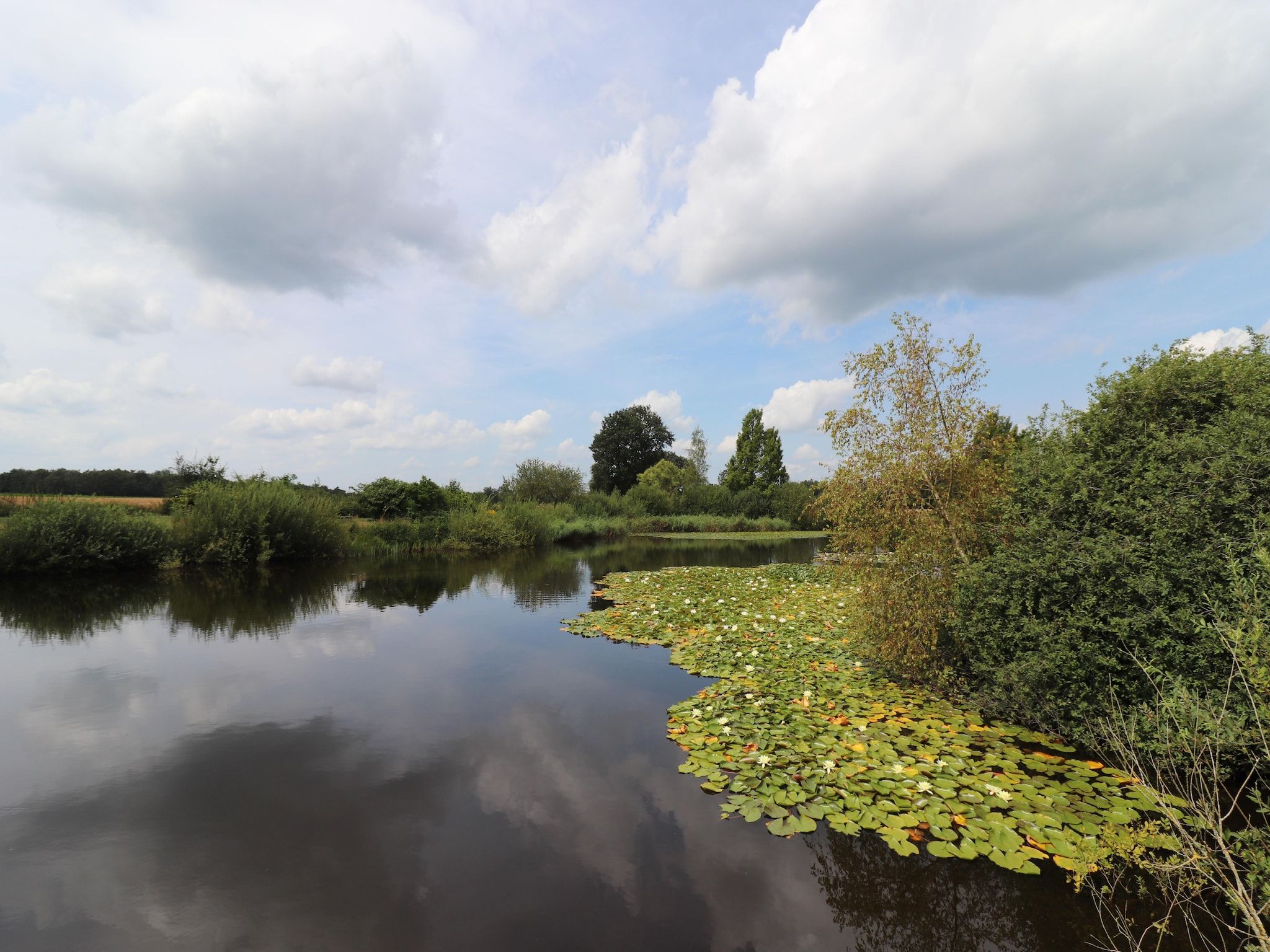 De tuin van Landgoed de Klimberg in Rheezerveen