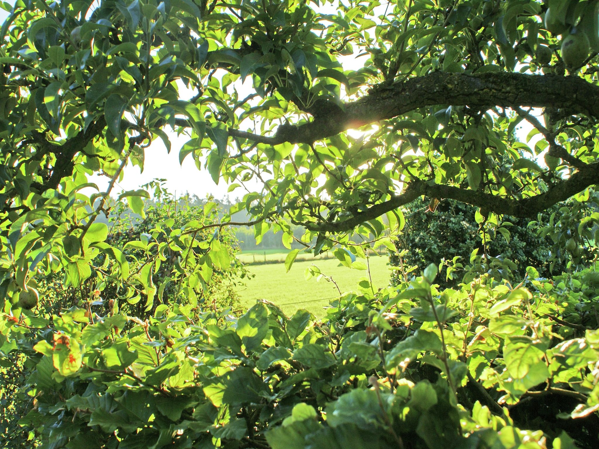 Hofstede Groot Blankenstein in Doorn - Foto 34 van 40