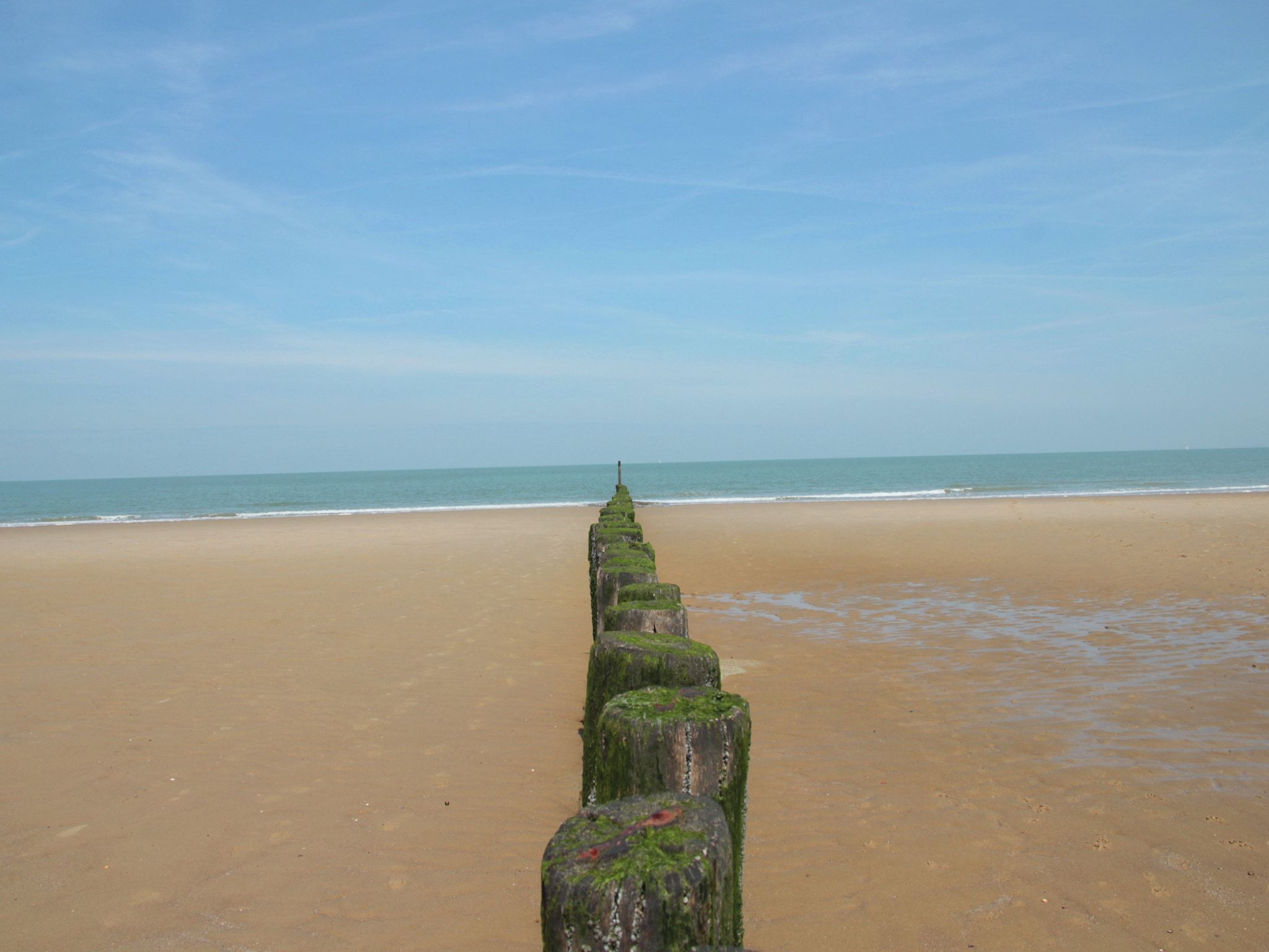 De Biezenknop in Eede - Foto 36 van 40