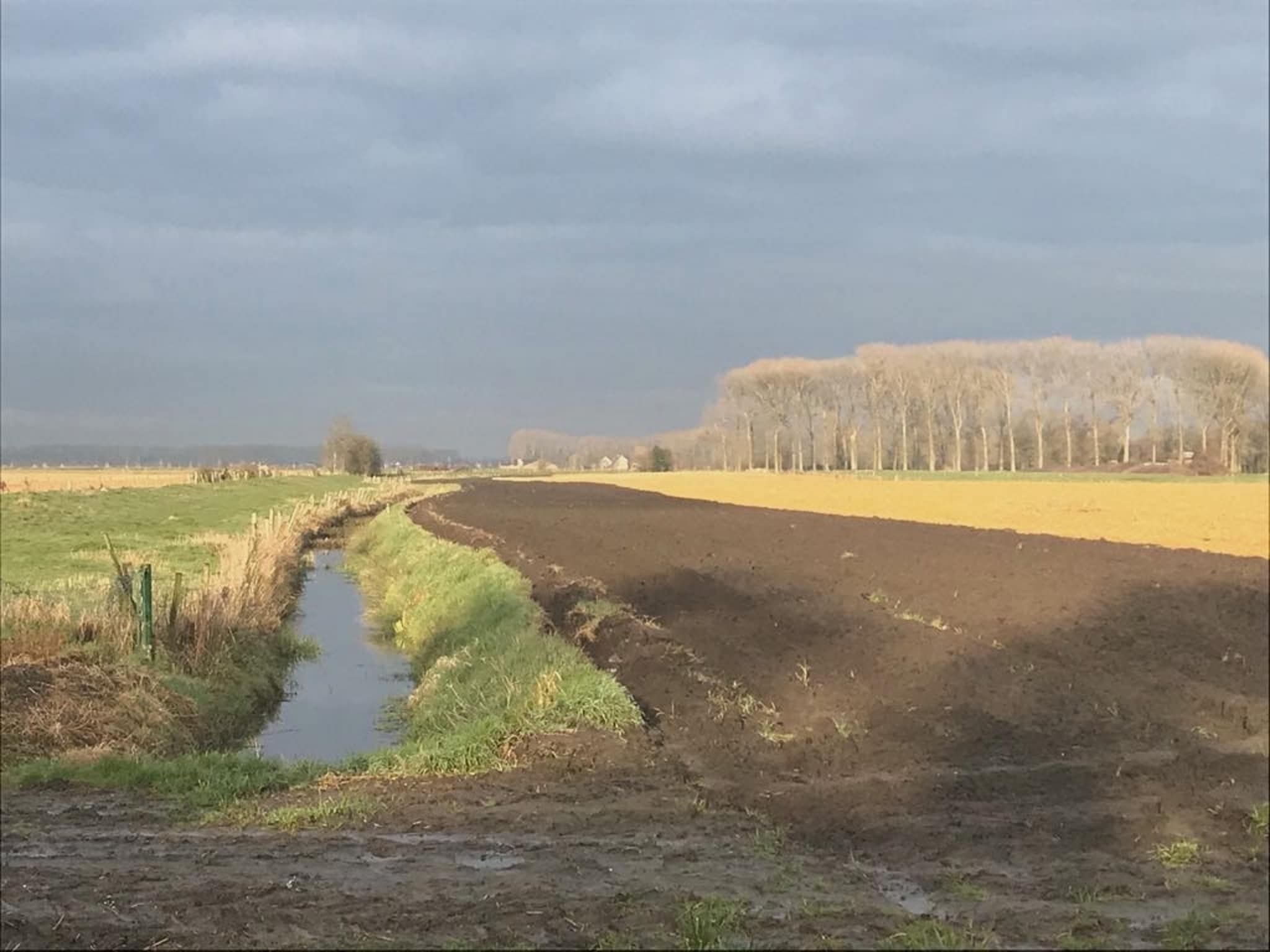 Het uitzicht vanaf De Biezenknop in Eede