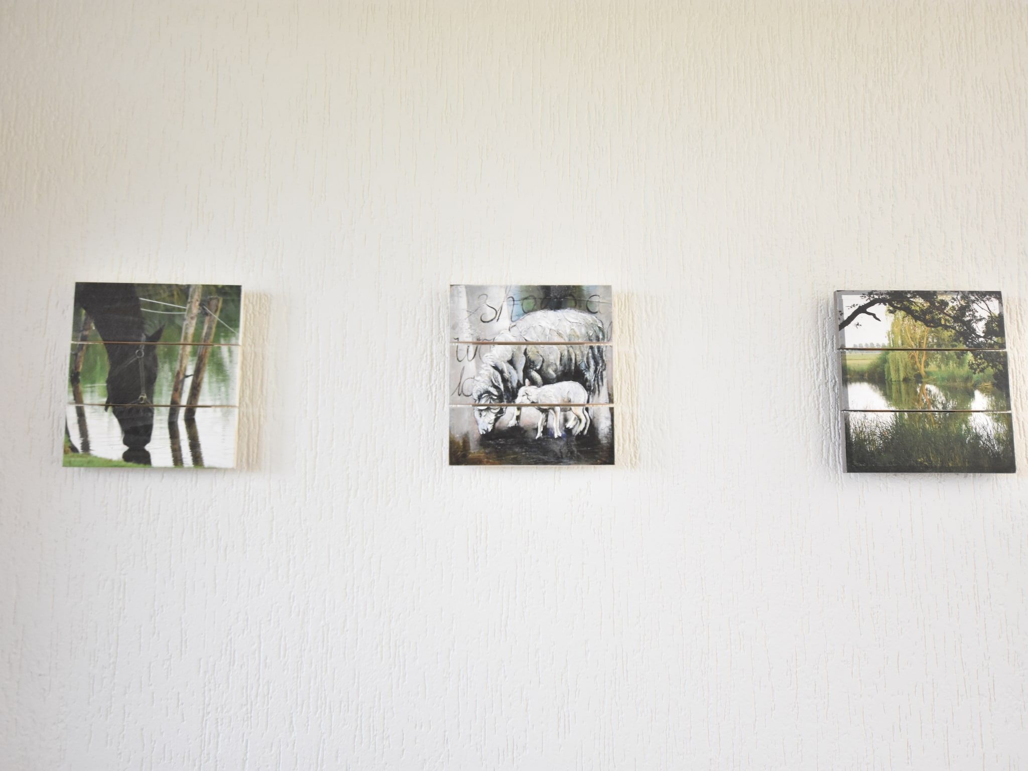 Sfeerbeeld van De Biezenknop in Eede