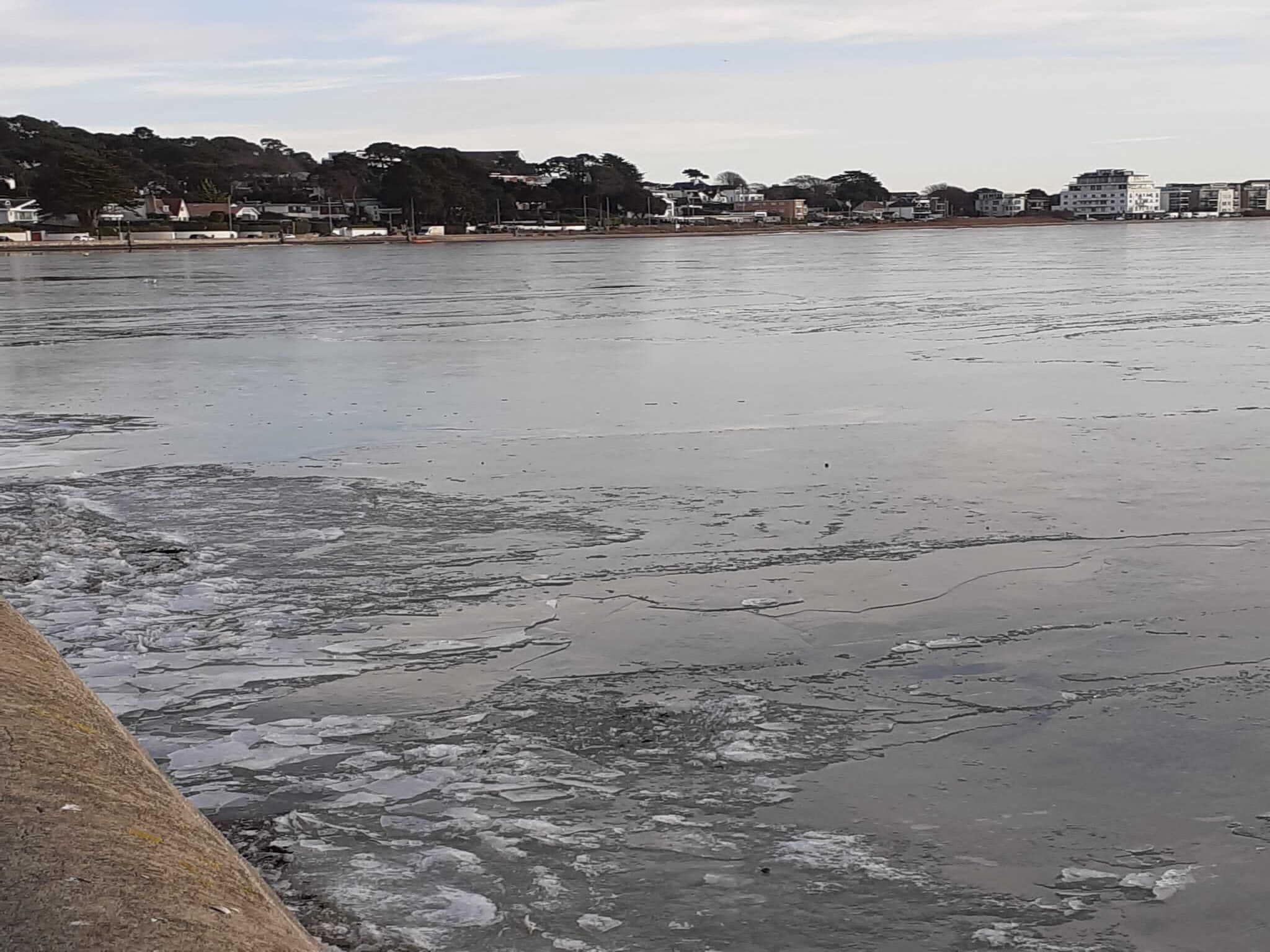 De Biezenknop in Eede - Foto 34 van 40