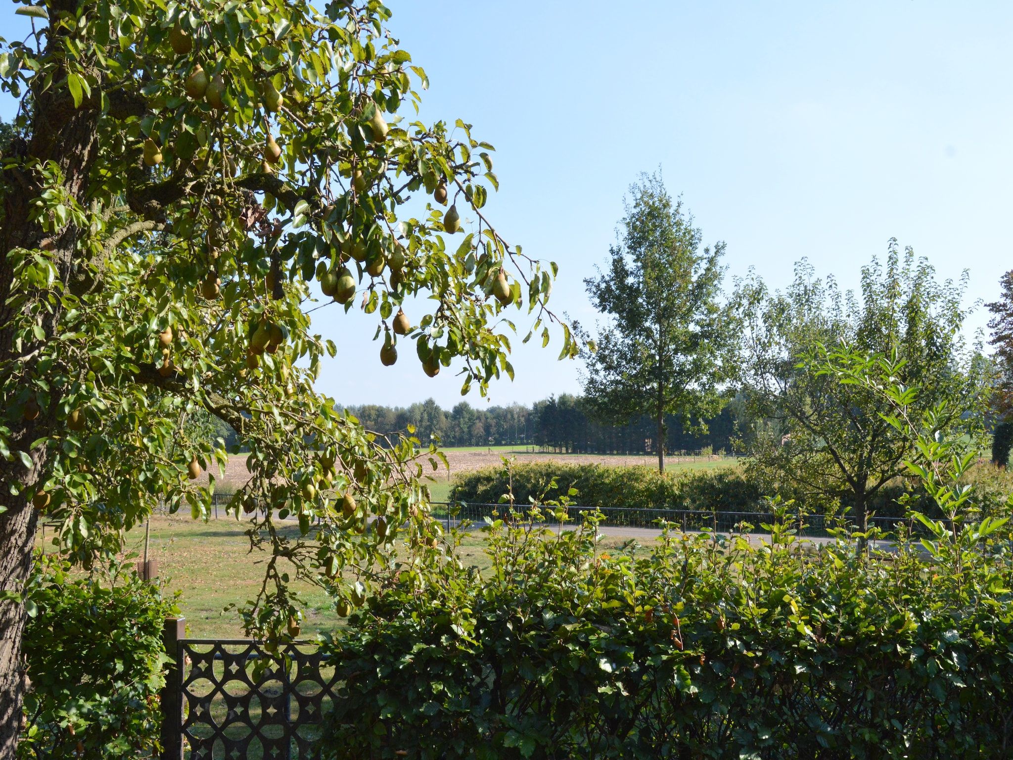 Het uitzicht vanaf Gelink Hof in Rekken