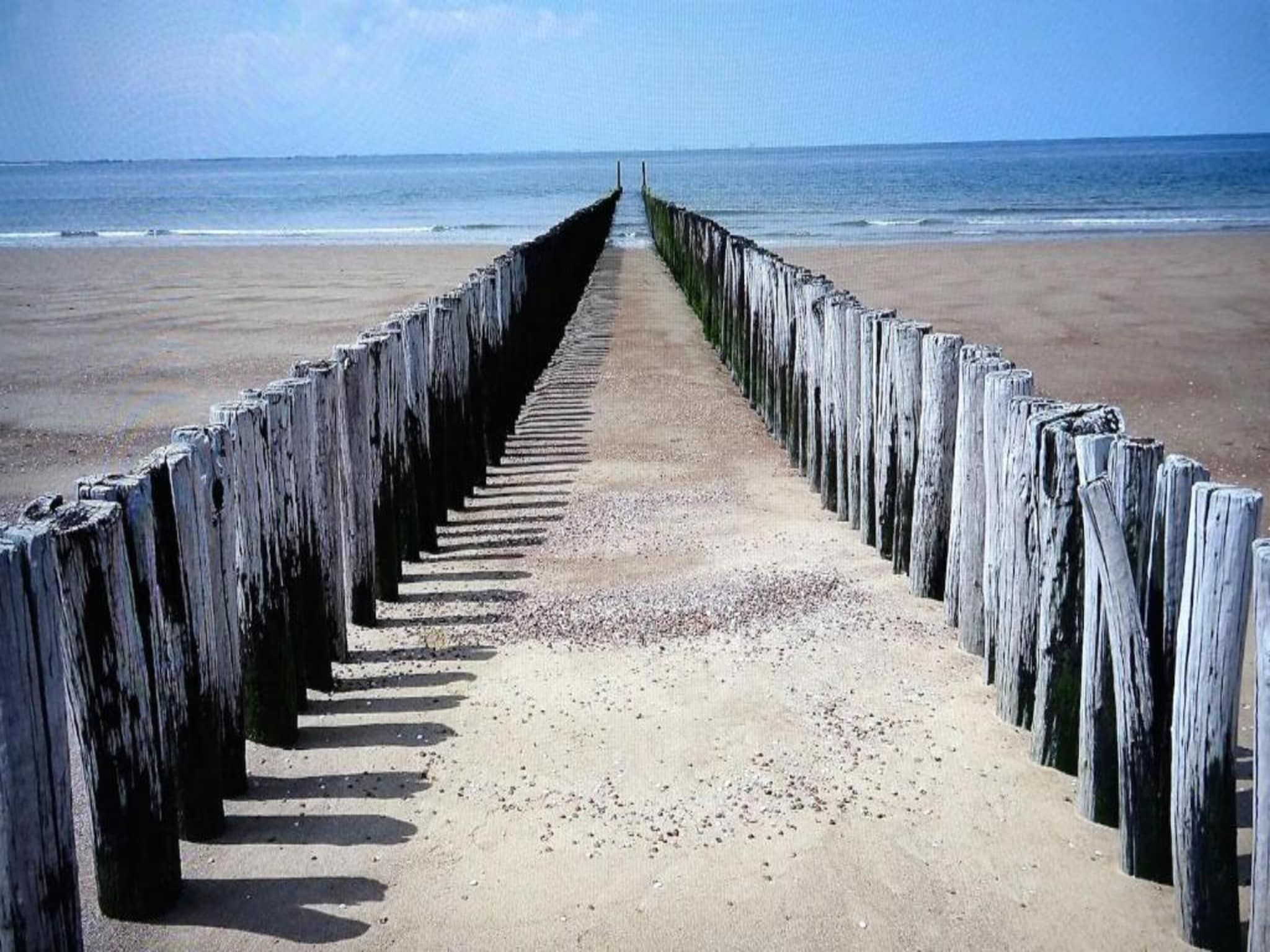 De omgeving van Noordzee Résidence Dishoek 9 in Koudekerke