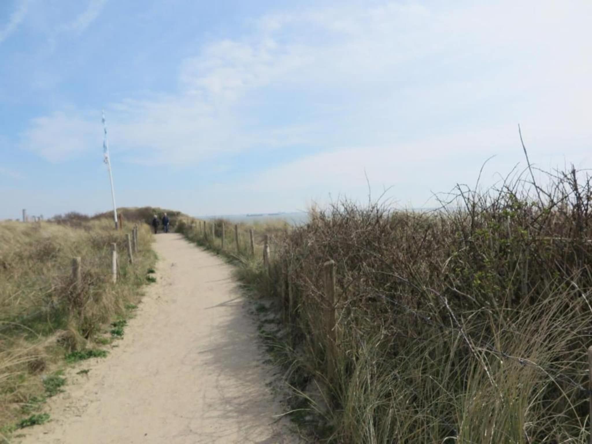 De omgeving van Noordzee Résidence Dishoek 9 in Koudekerke