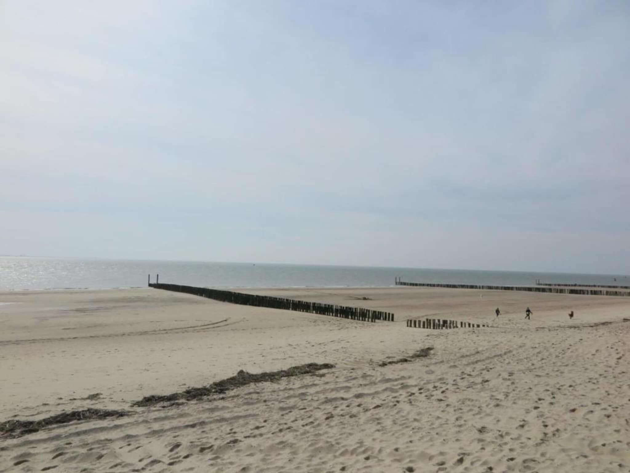 De omgeving van Noordzee Résidence Dishoek 7 in Koudekerke