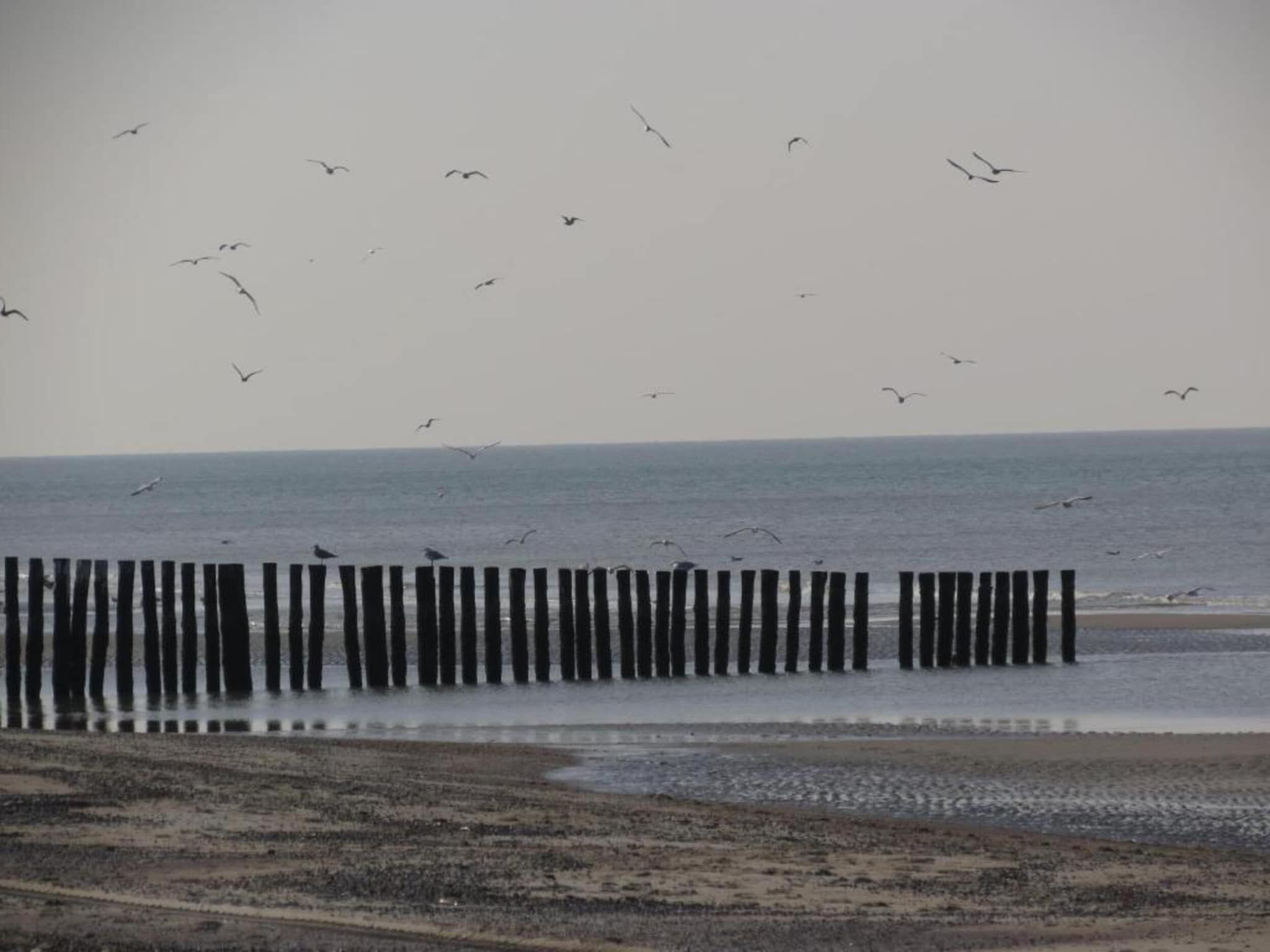 De omgeving van Noordzee Résidence Dishoek 7 in Koudekerke