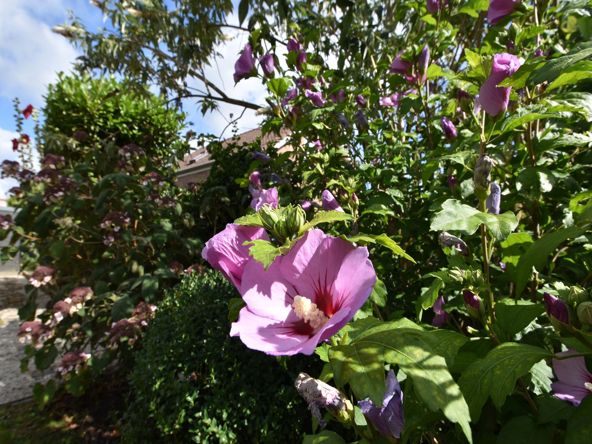 Sfeerbeeld van Het Mosselhuys in Bruinisse