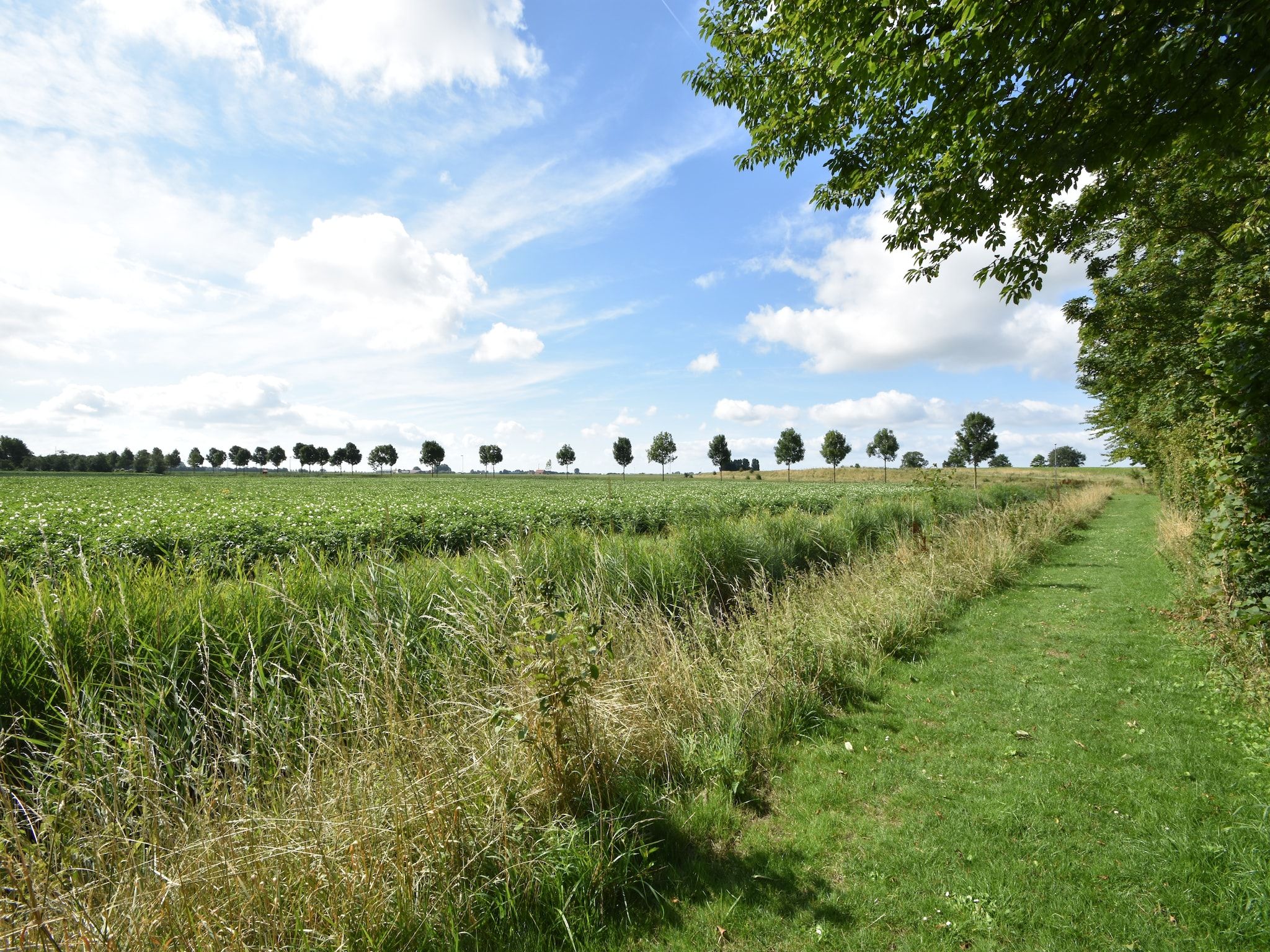 Het uitzicht vanaf Het Mosselhuys in Bruinisse