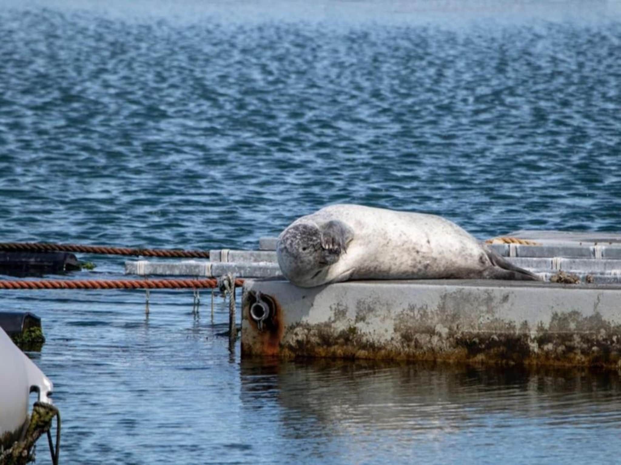 Luxe Beveland met zwembad  sauna in Colijnsplaat - Foto 40 van 41