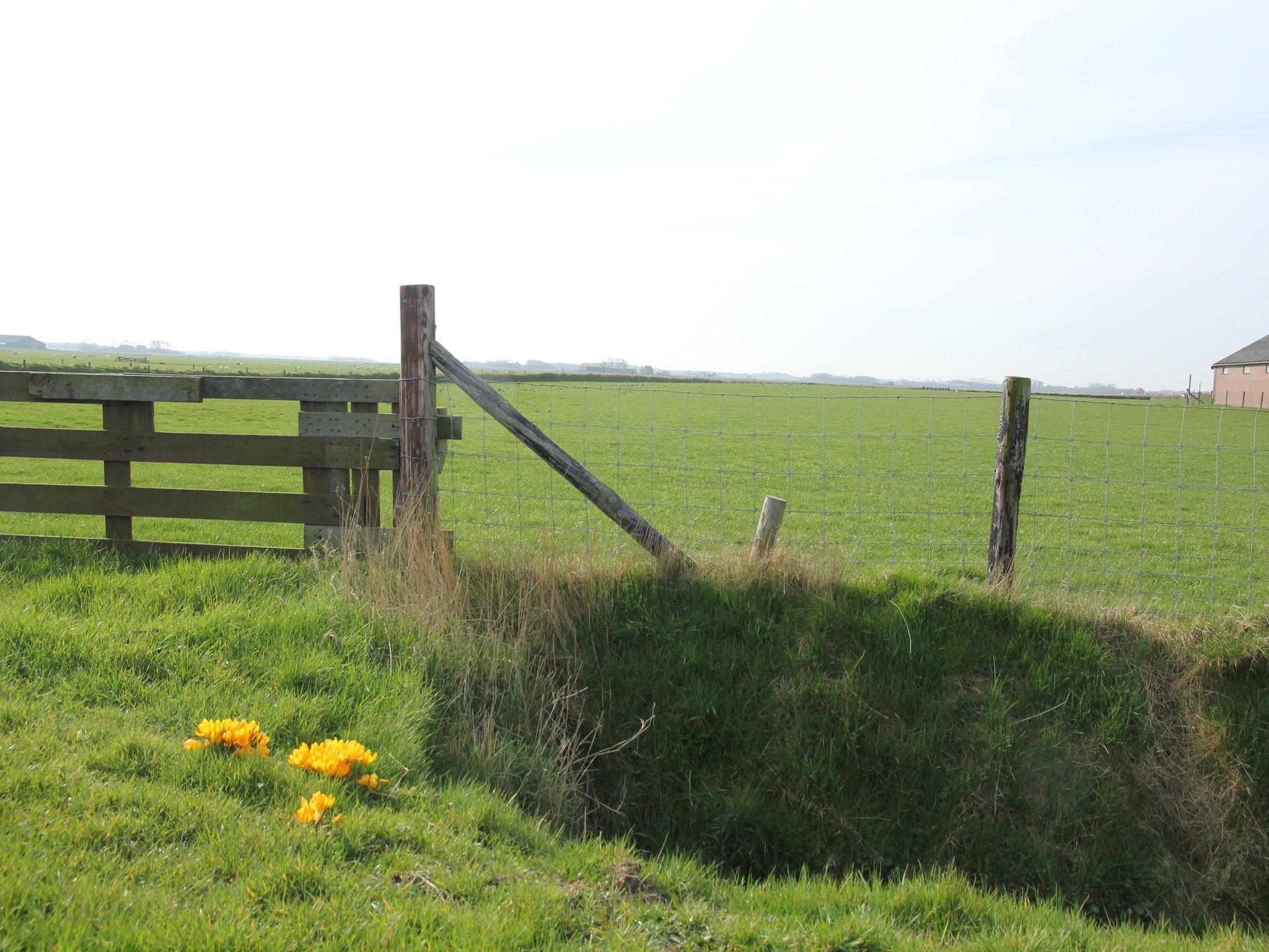 De omgeving van Tempelier 39 in Den Burg-Texel